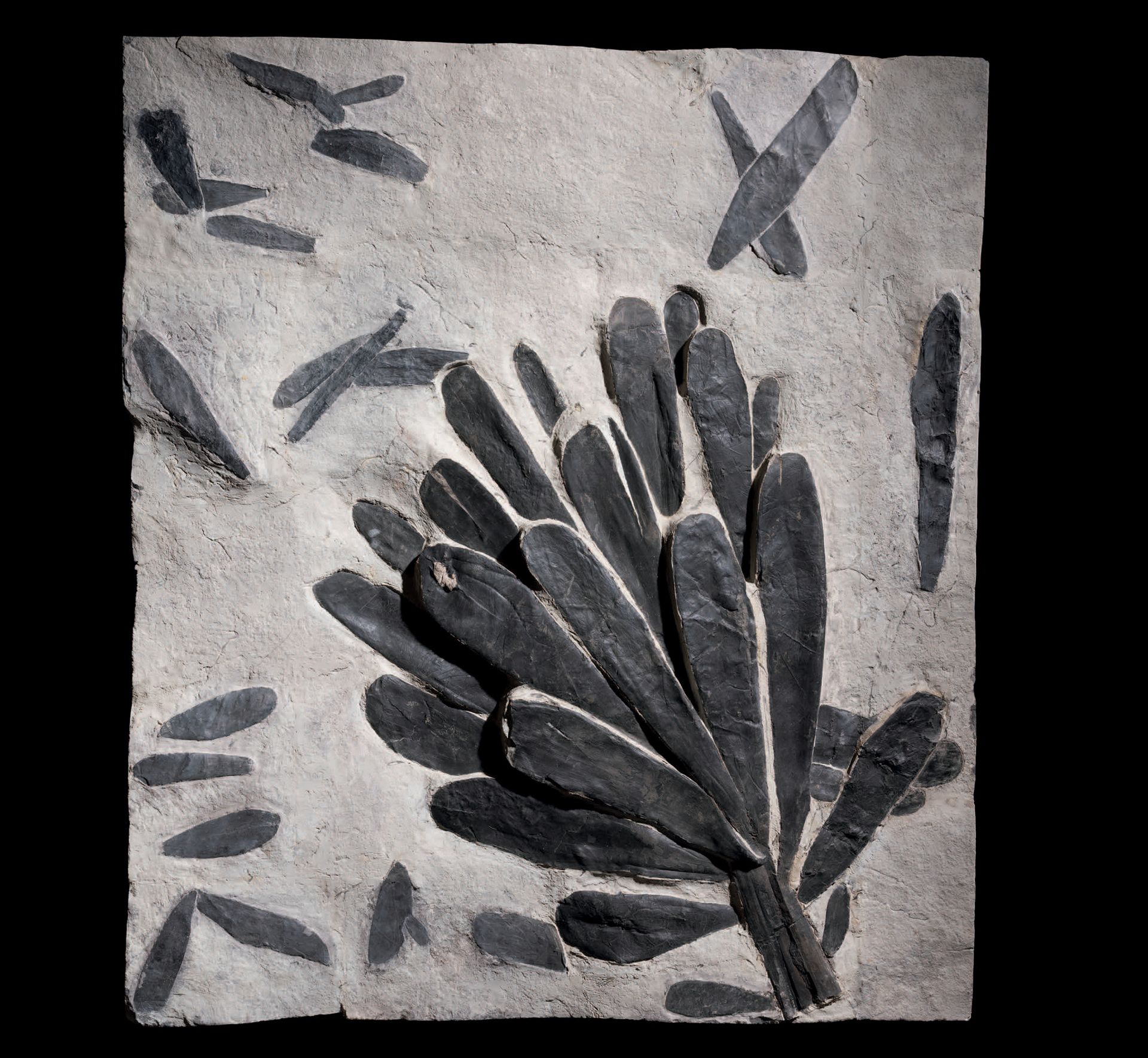 Null CORDAITES LINGULATUS
Carbonifero
Montceau-les-Mines, Francia
H. 122 cm - L.&hellip;