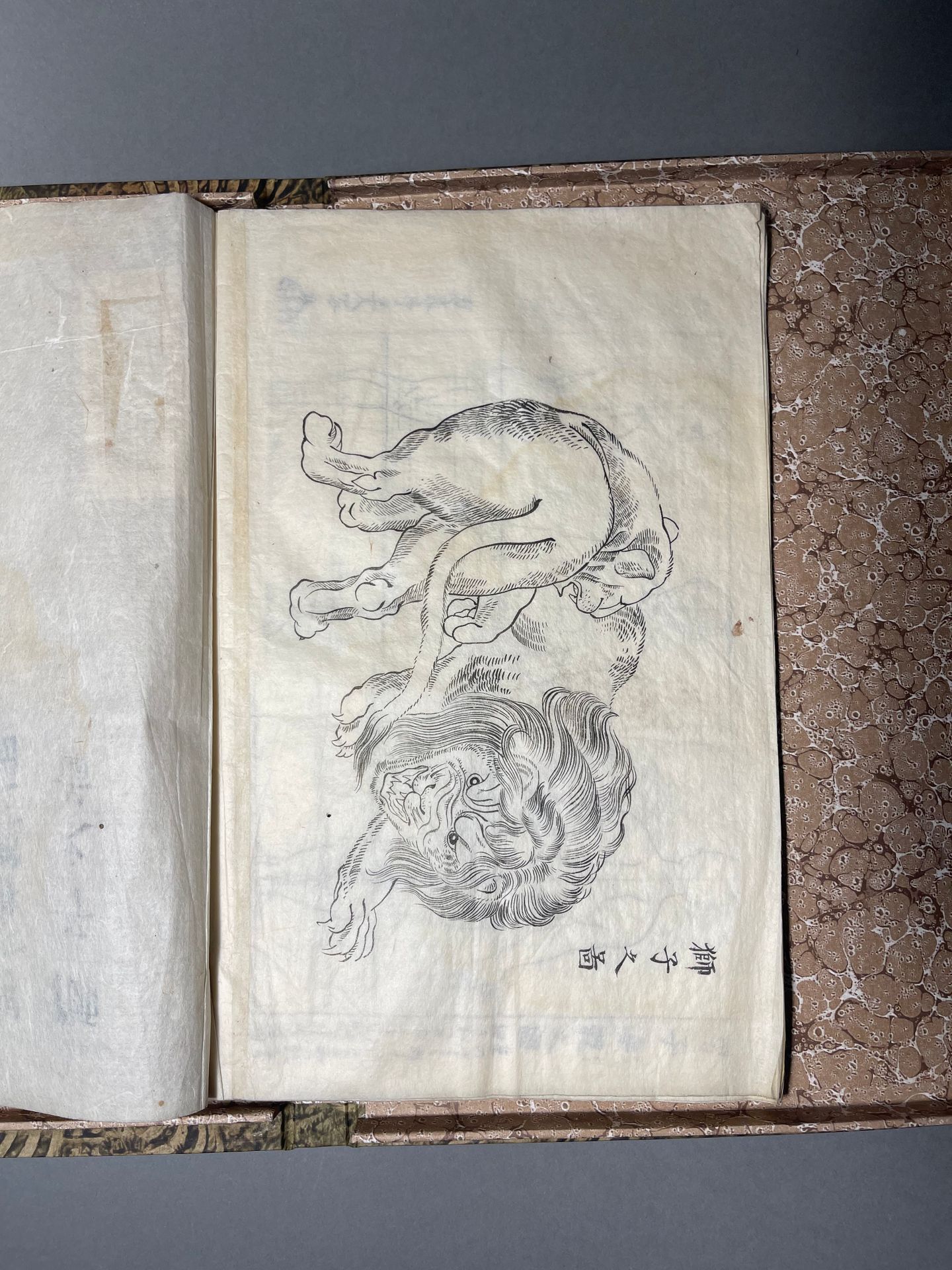JAPON - Epoque EDO (1603 - 1868) 十六页画册，纸上墨迹。狮子的图像，外国人头饰的图像，解剖学的图像。
日期为文成11年（1828&hellip;