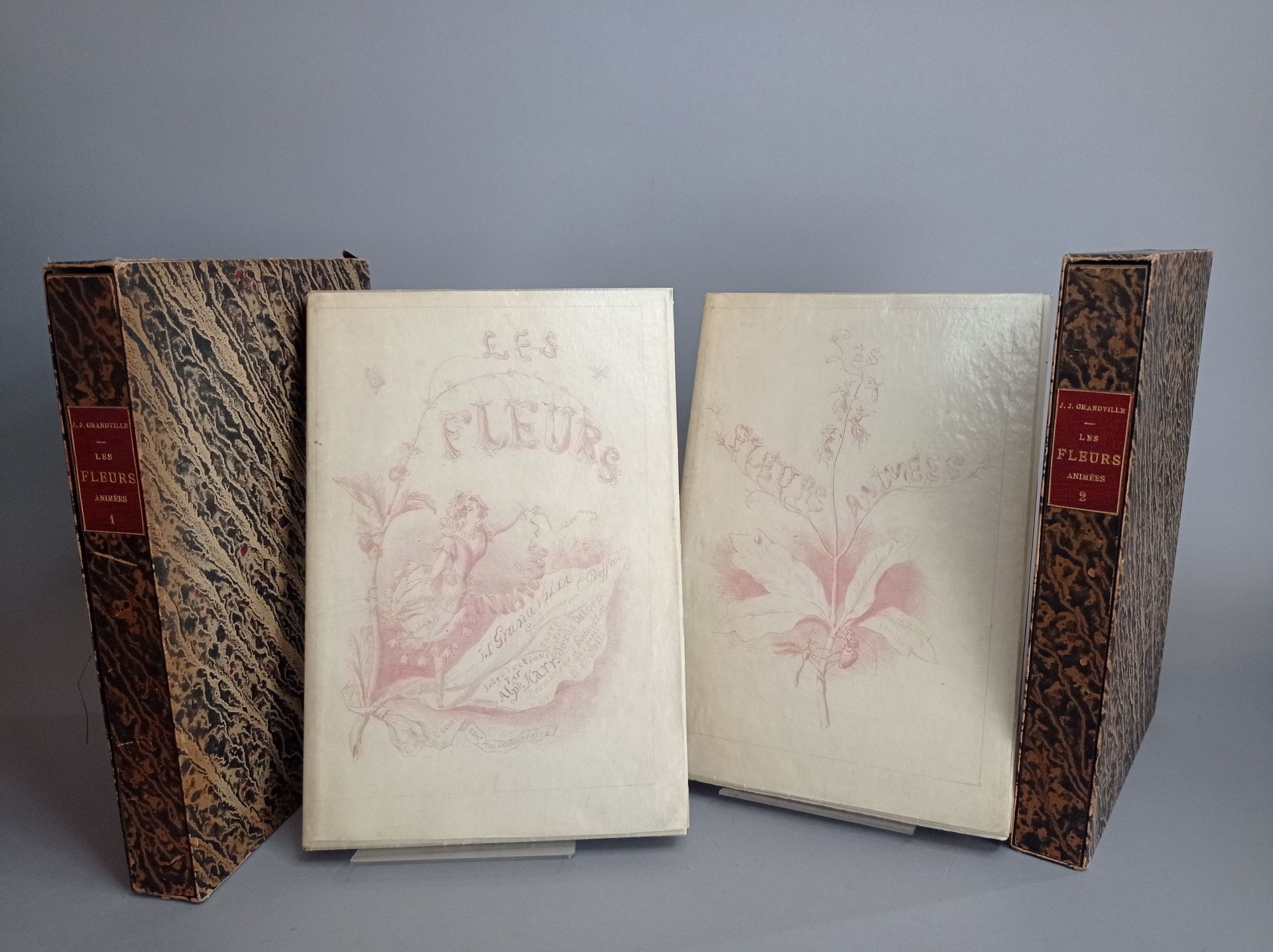 GRANDVILLE. Les Fleurs animées. Paris, Gabriel de Gonet, 1847. 2 volumes in-8, b&hellip;