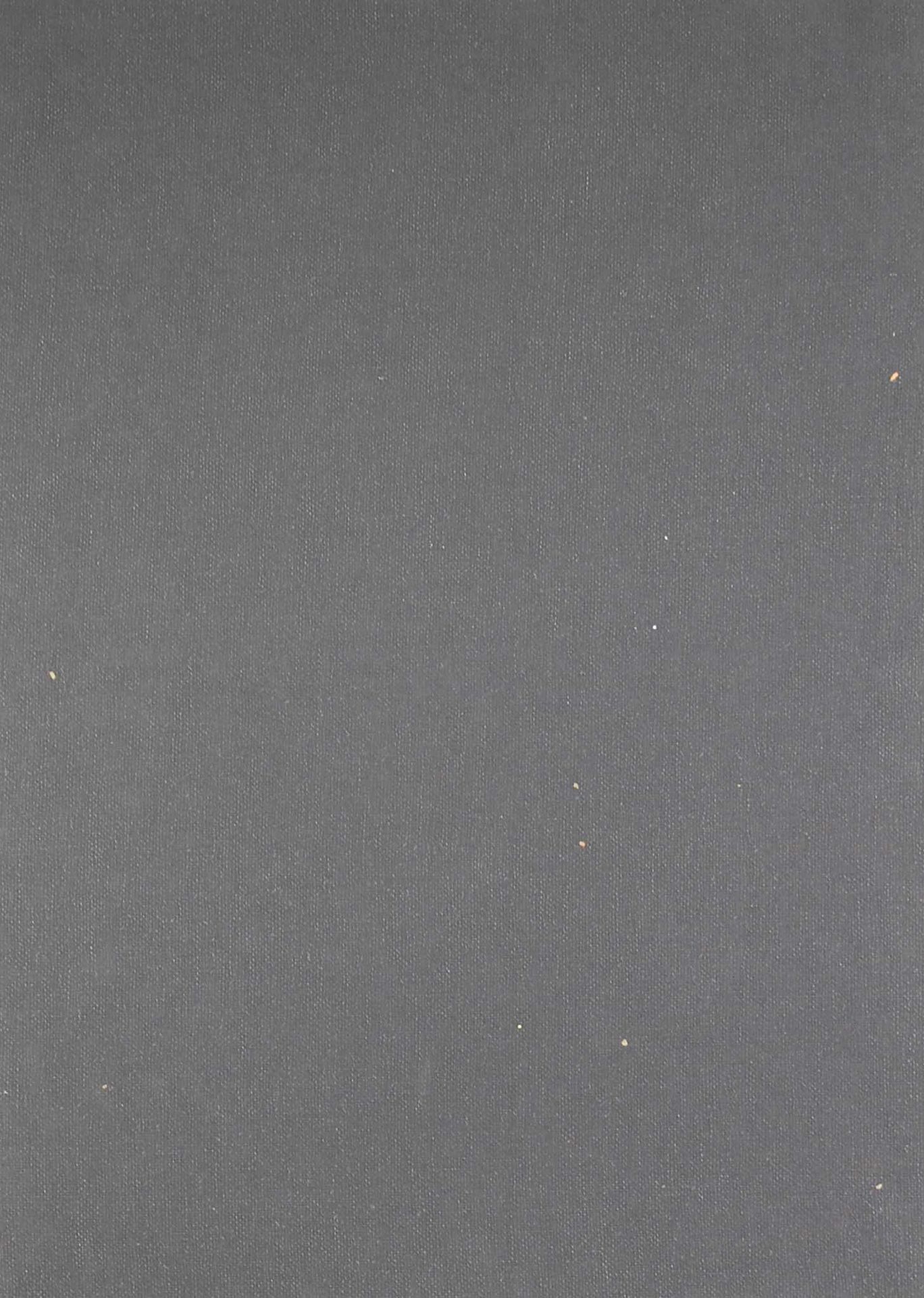 IDA Shoichi (1941 - 2006) 丝网印刷在黑色的纱布和纸上。Serie from the Surface is the Between"-L&hellip;