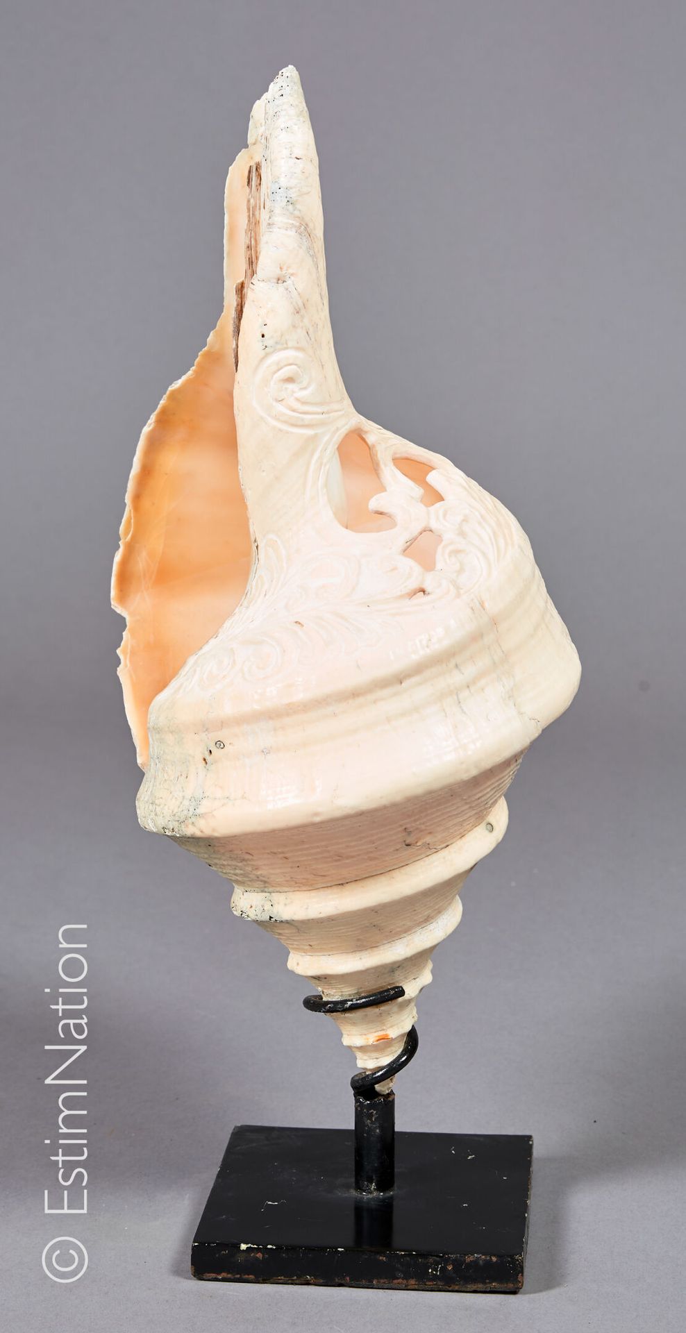PAPOUASIE - NOUVELLE GUINEE PAPUA - NEW GUINEA







Important shell carved wit&hellip;