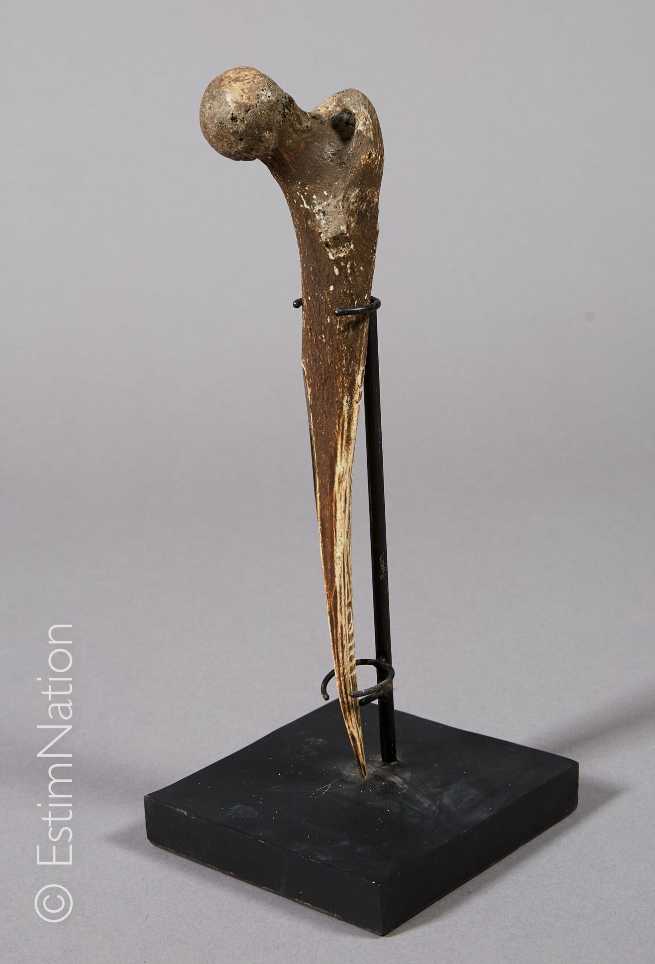 PAPOUASIE - NOUVELLE GUINEE PAPUA - NEW GUINEA



Sacrificial knife in cassowary&hellip;