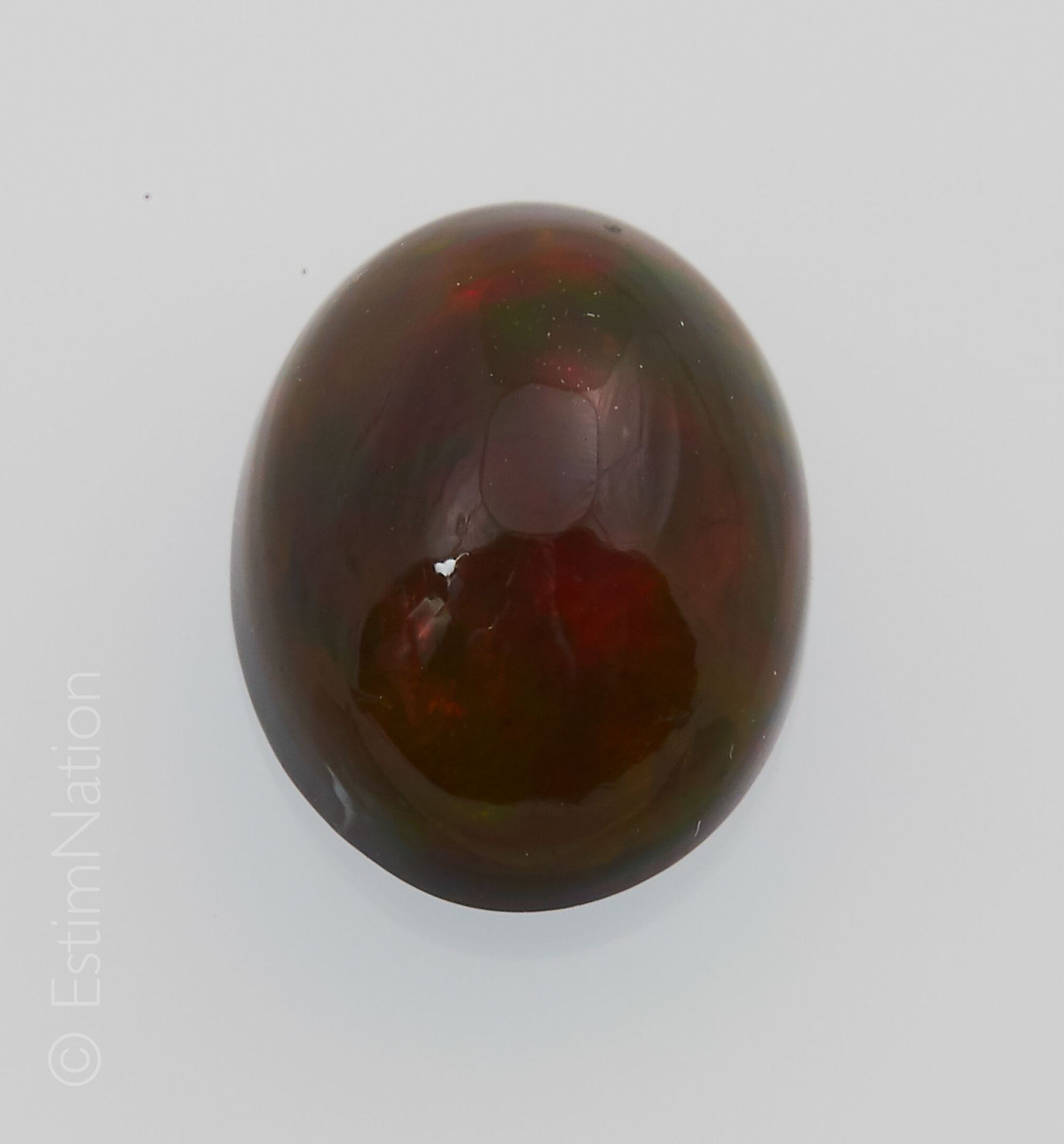 OPALE NOIRE 1.53 CARAT 黑色椭圆凸圆形蛋白石，重约1.53克拉

尺寸：9.75 x 7.60 x 4.70 mm左右。