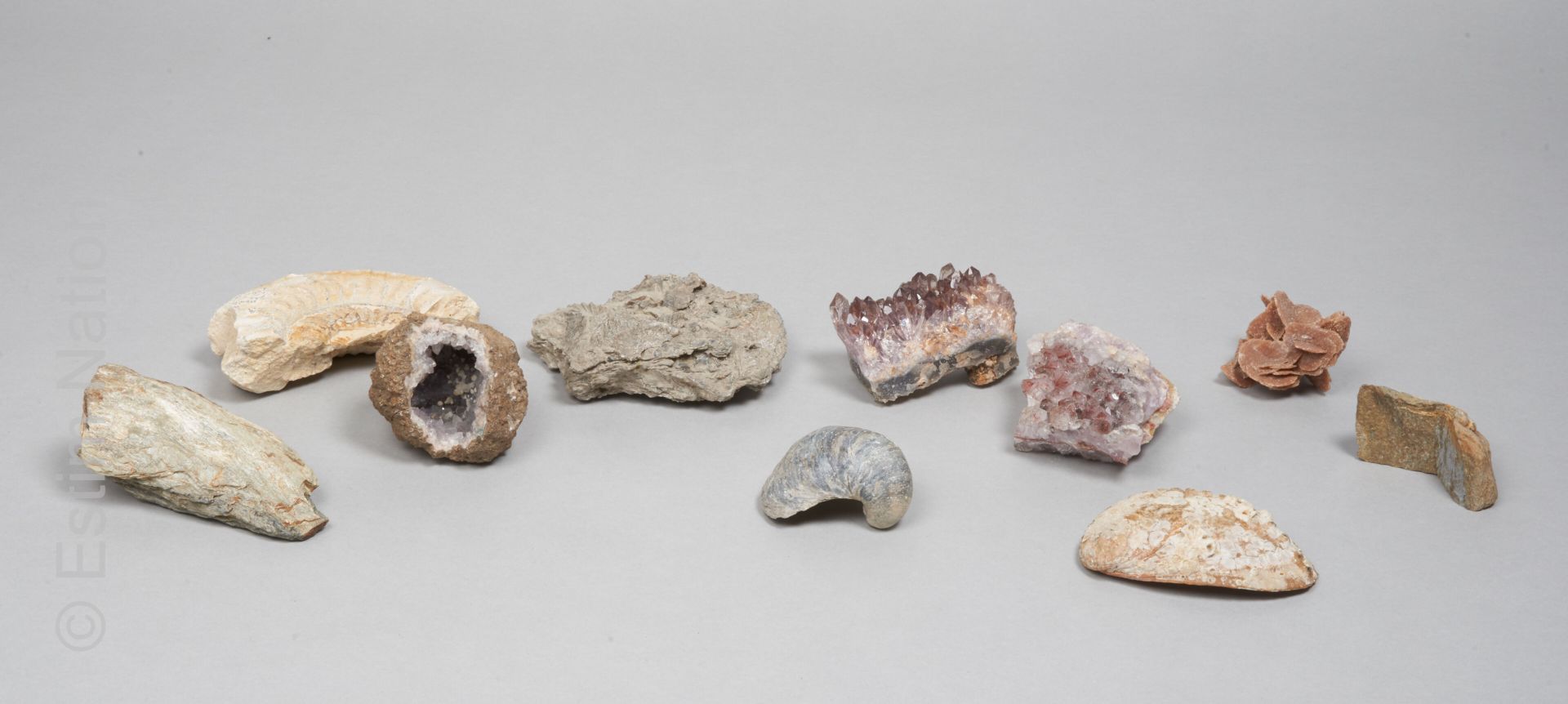 HISTOIRE NATURELLE Set of fossils and crystals including shells and ammonites, f&hellip;