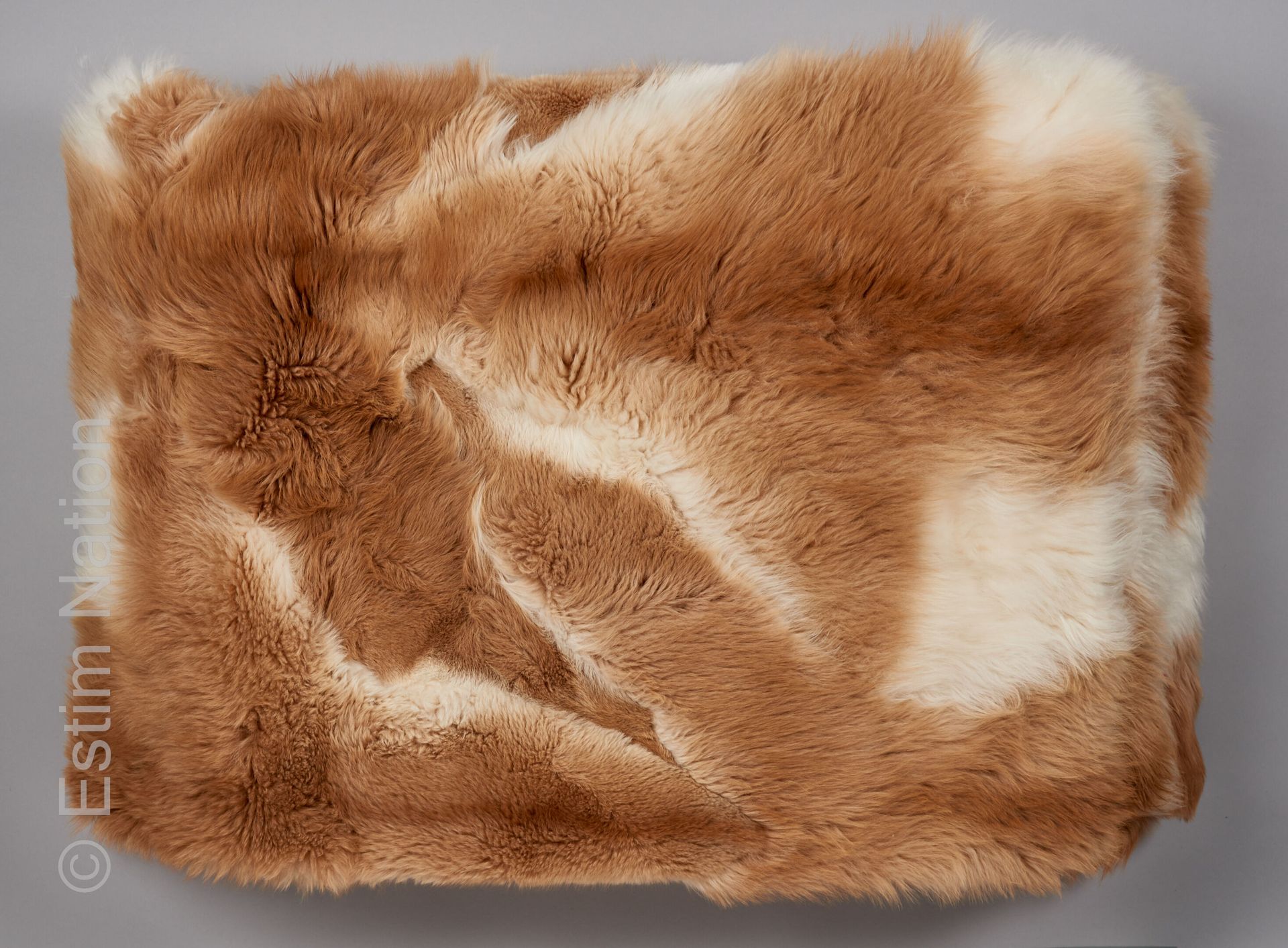 ANONYME 蜥蜴人床罩，内衬帆布（接缝、角落和边缘有些意外）（235 x 210厘米）（Lama guanicoe，CITES附录II/B）。



该标本&hellip;