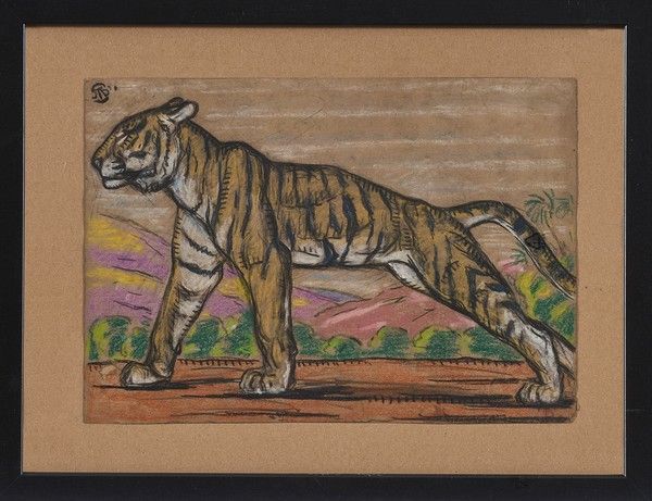 Null Pablo TILLAC (1880-1969)
Tigre del Bengala
Pastello su carta con doppio mon&hellip;