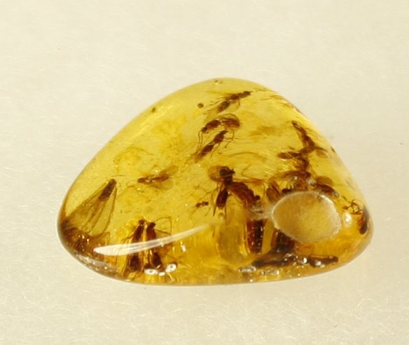 Null Young amber with insect inclusions : many diptera weight : 6 g. L : 2,7cm N&hellip;