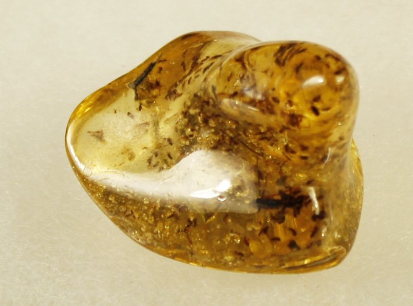 Null Young amber with insect inclusions: flies, mosquitoes, spiders and plants w&hellip;