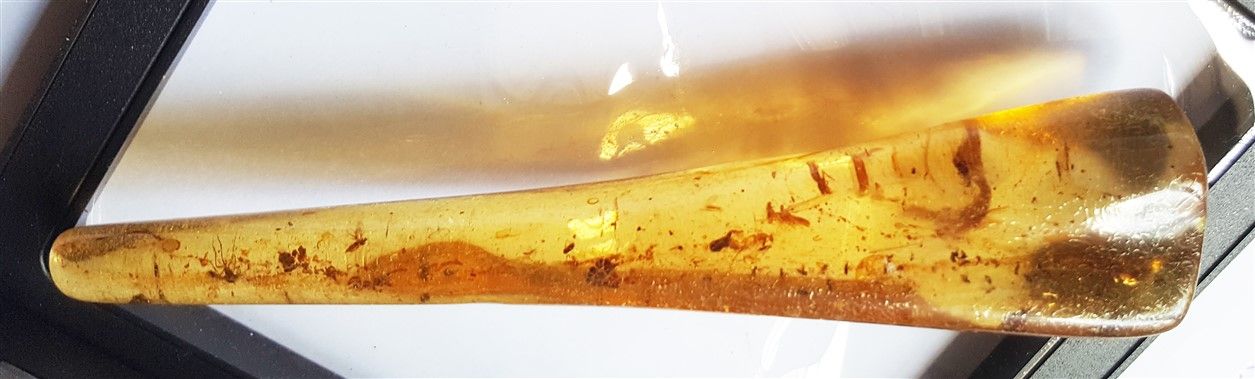 Null 年轻的琥珀，有昆虫内含物：甲虫，长角甲虫和其他昆虫重量：37.1克。 长：14厘米 马达加斯加北部，Sab'ara antala，200万年历史