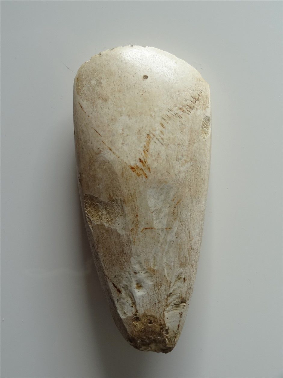 Hache polie en silex beige. Néolithique, Bassin parisien L :12,3 cm Provenance :&hellip;