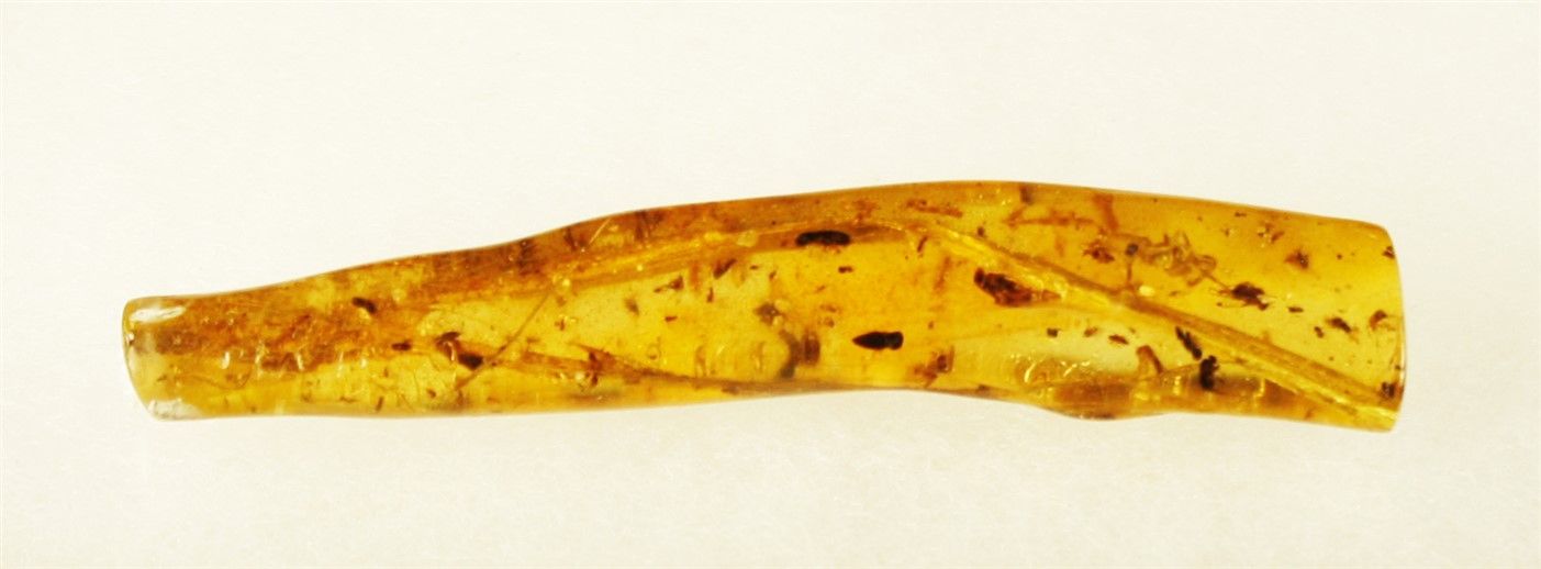 Null 年轻的琥珀，有昆虫内含物：蚱蜢和其他昆虫 重量：9.3克。 长：8.5厘米 马达加斯加北部，Sab'ara antala，200万年历史