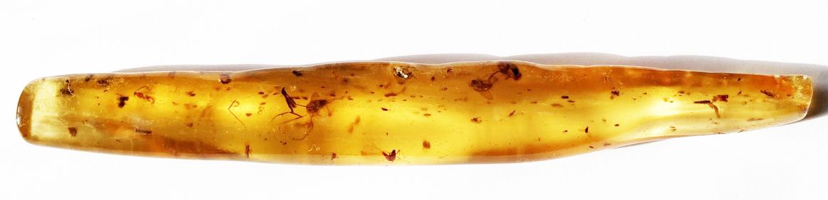 Null Important young amber with insect inclusions: flies (one very large), spide&hellip;