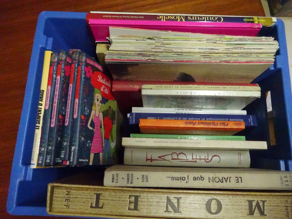 Null 7号书柜包含：51本书，大部分是儿童读物。