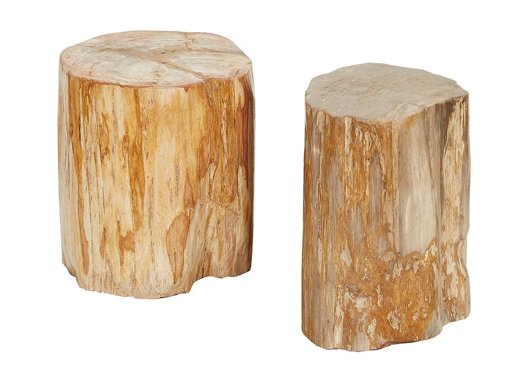 Null 两个小的圆形石化木边桌或沙发端。41 x 28 x 34厘米
