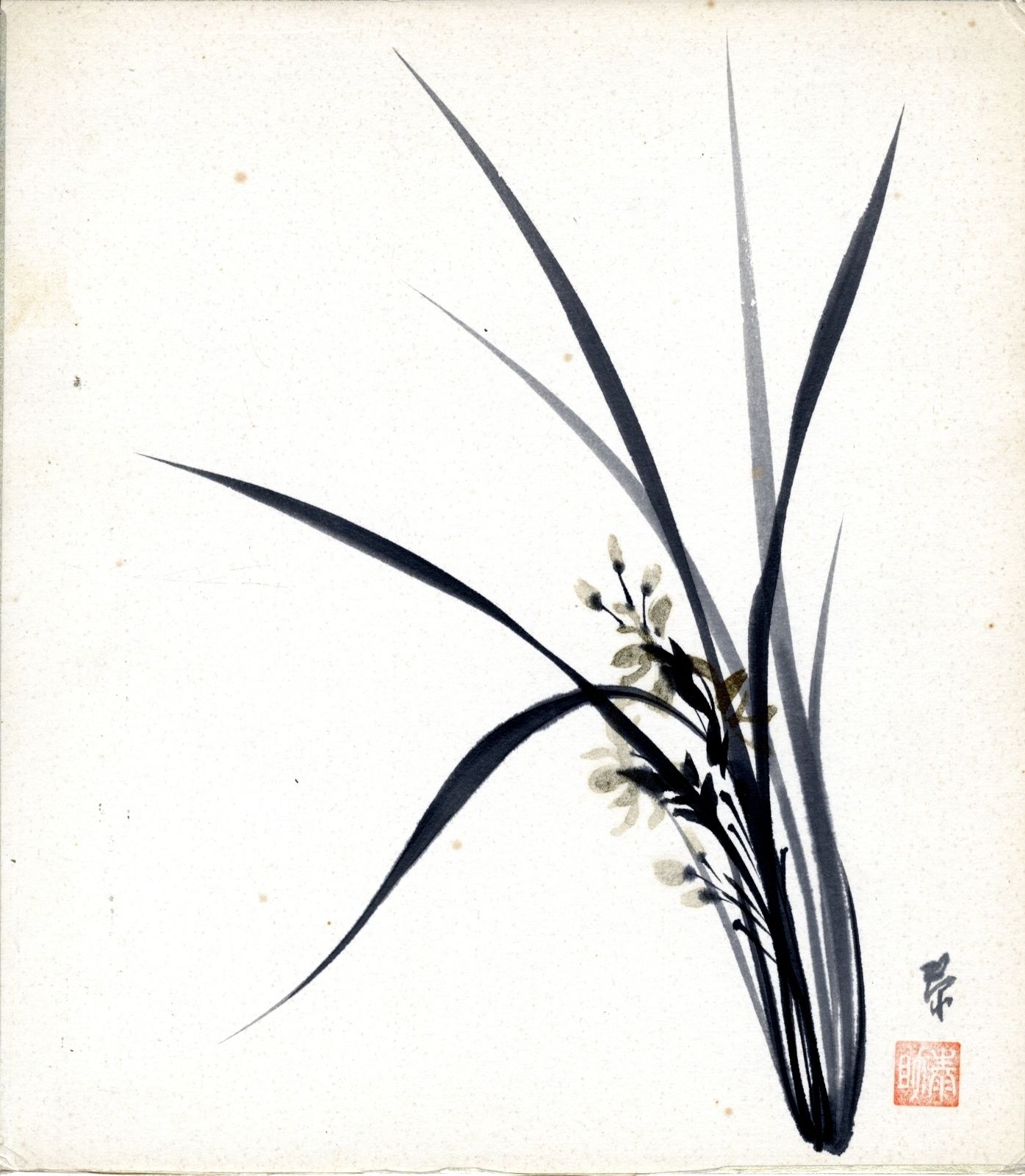 Null Orchideen (27,5 x 24 cm), Tusche und Farbe auf Papier, 20. Jh. Auf kartonie&hellip;