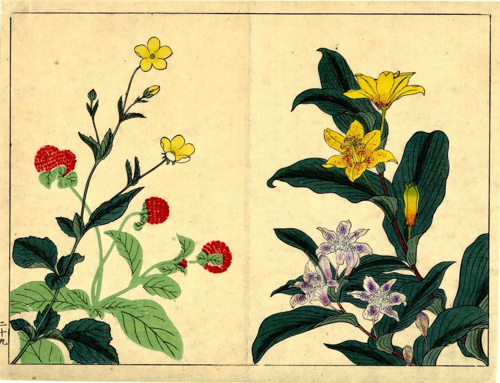 Null Blumen (Albumseite) Meiji Exzellenter Druck, leicht vergilbt und verschmutz&hellip;