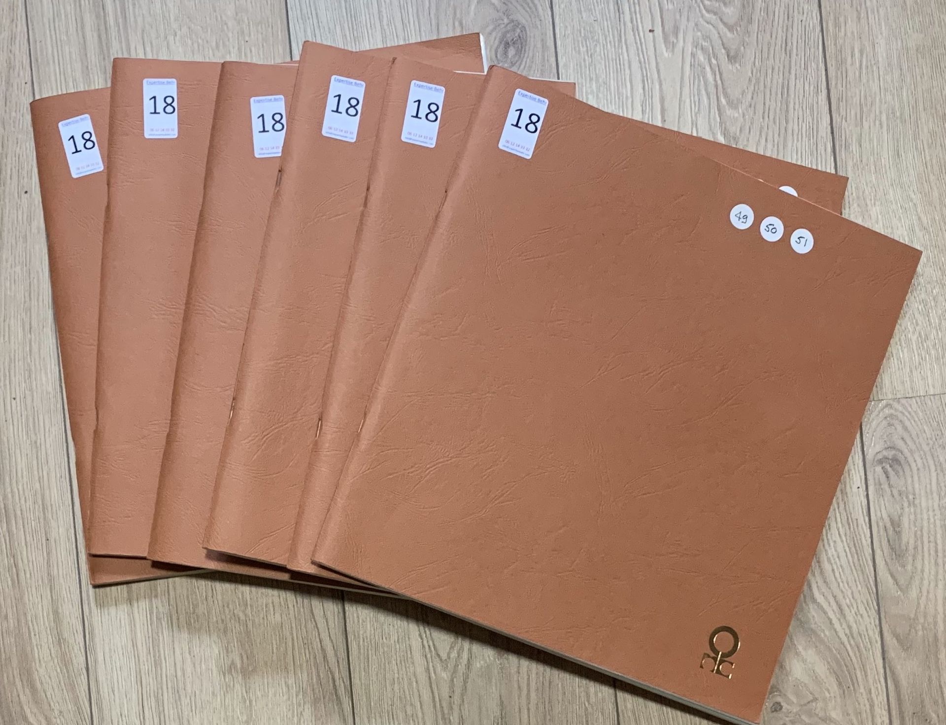 Null 6 France SM binders in complete or almost complete sheets, including Revolu&hellip;