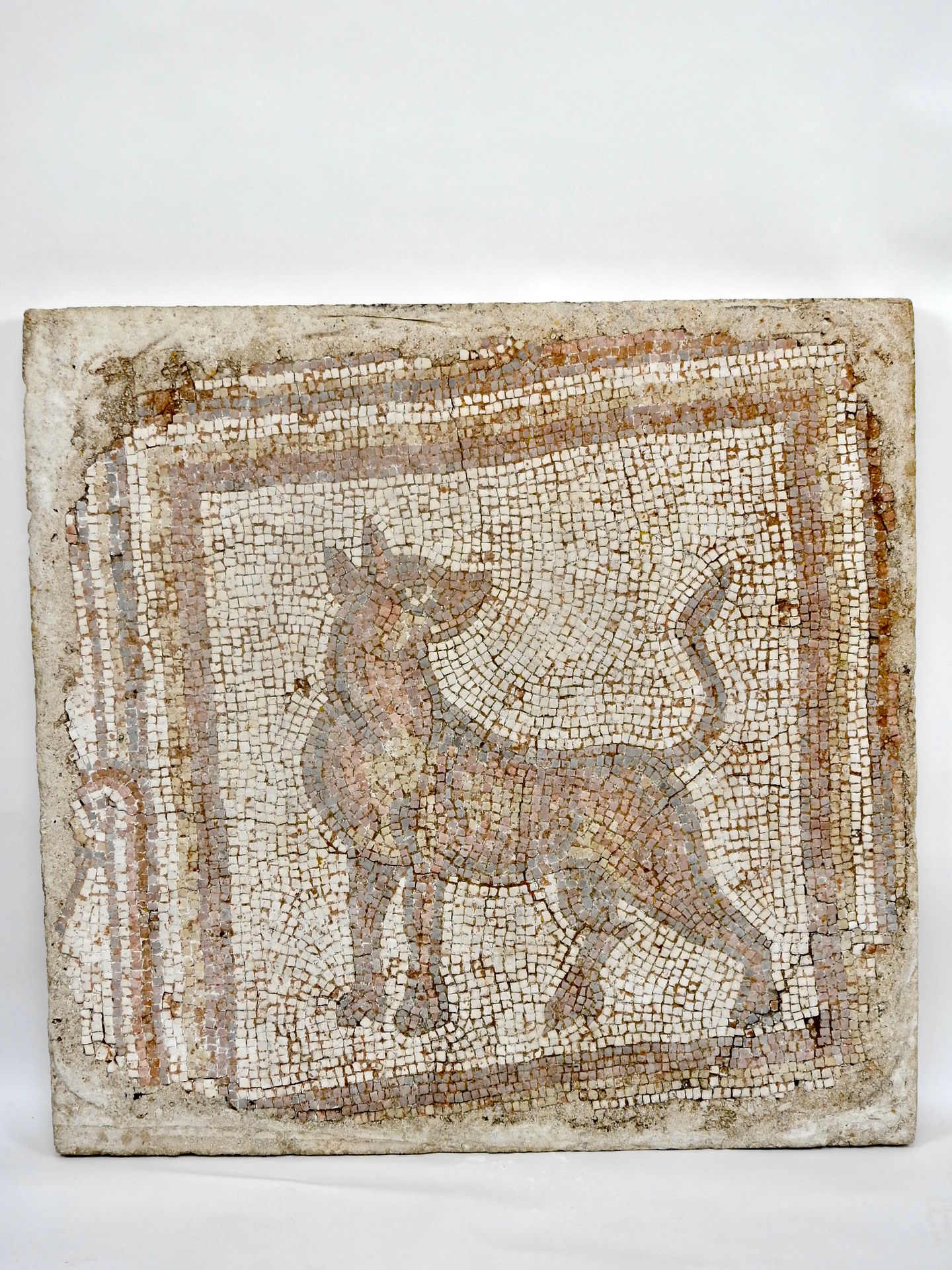 Null 罗马时期，公元前几世纪 马赛克语

88.5 x 91.5厘米

方形，由多色魔方组成，代表一只狼。

在盘子上修复作品，以便巩固