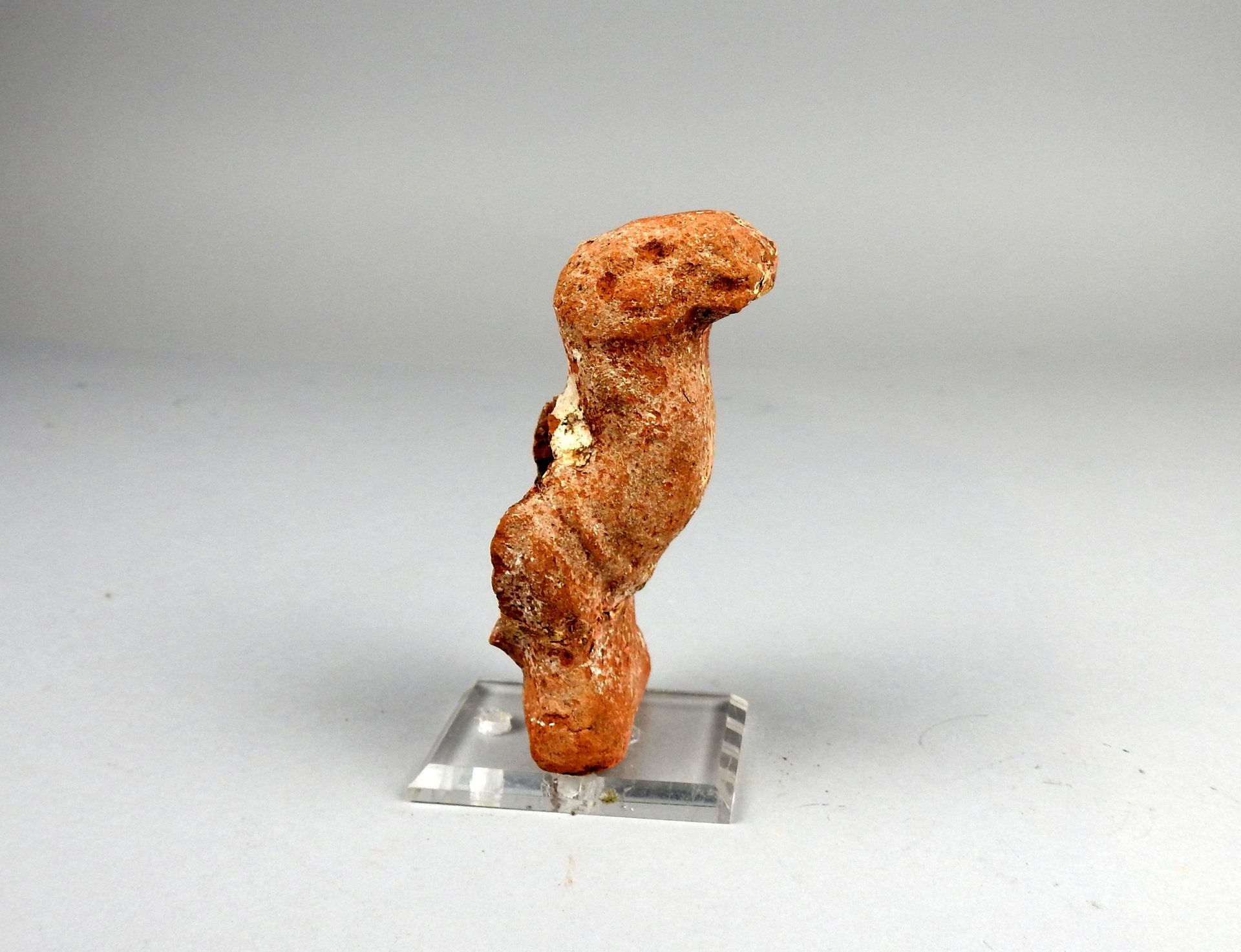 Null Protomé de chameau

Terre cuite 10 cm restaurations

Epoque romaine