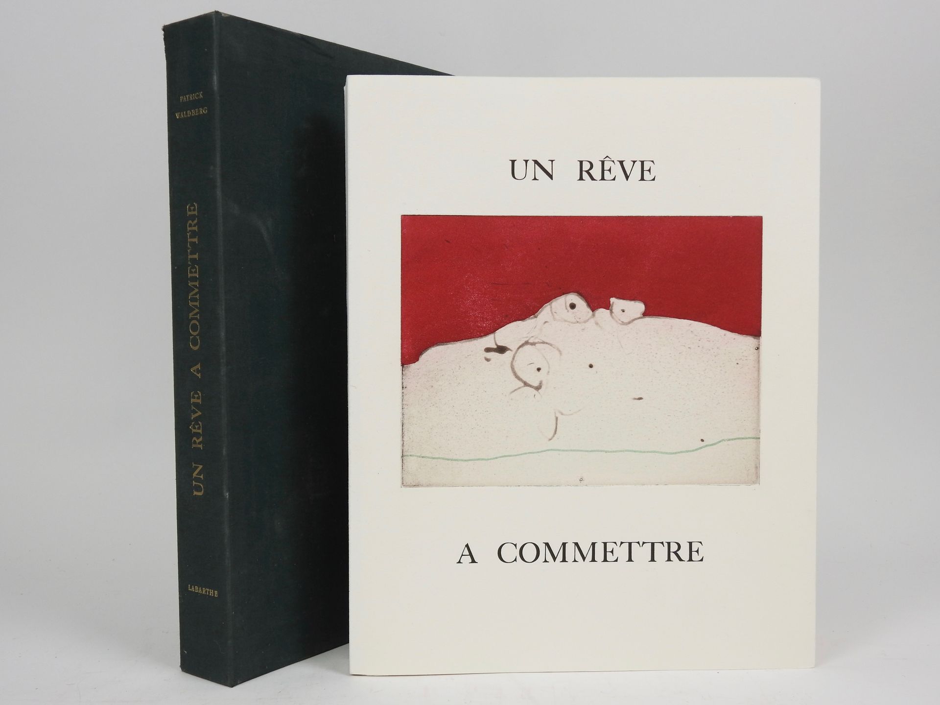 Null WALDBERG（P.）。一个可以开始的梦想。巴黎新文学协会，1973年。4开本，夹层和包装纸。绿布。附有拉巴特的11幅原始蚀刻画的插图。牛皮纸限量版&hellip;