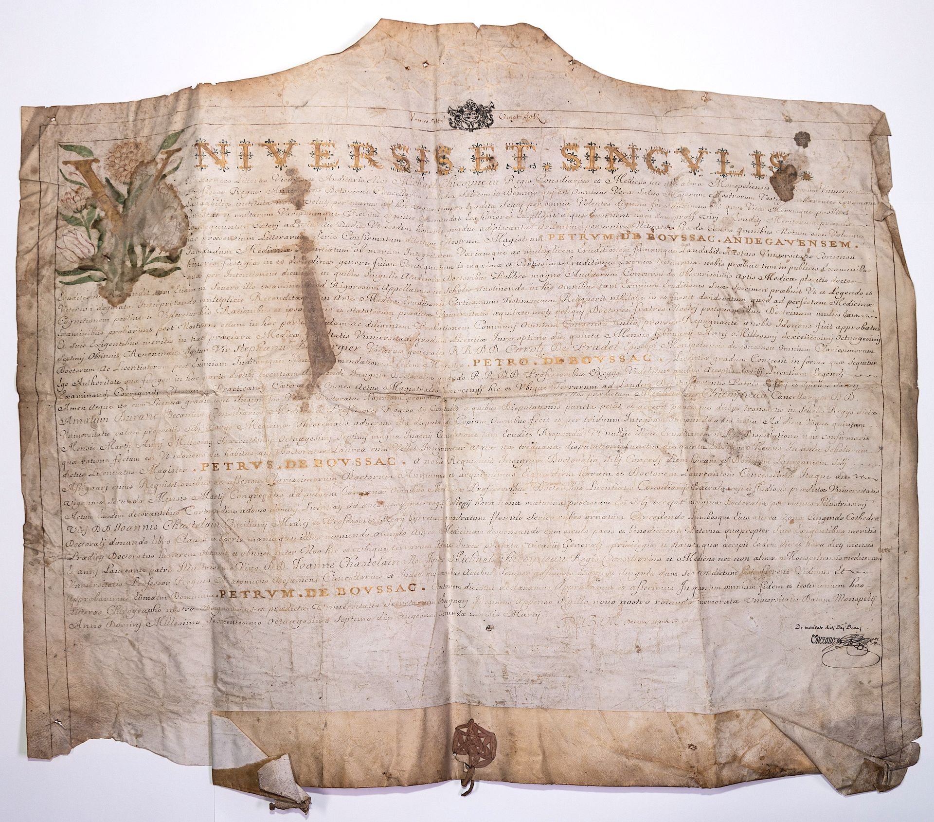 Null HÉRAULT.1687.蒙彼利埃大学。皮埃尔-德-布萨克的医学文凭。文本为拉丁文。蒙彼利埃1687年。照明的羊皮纸（60 x 72厘米）。