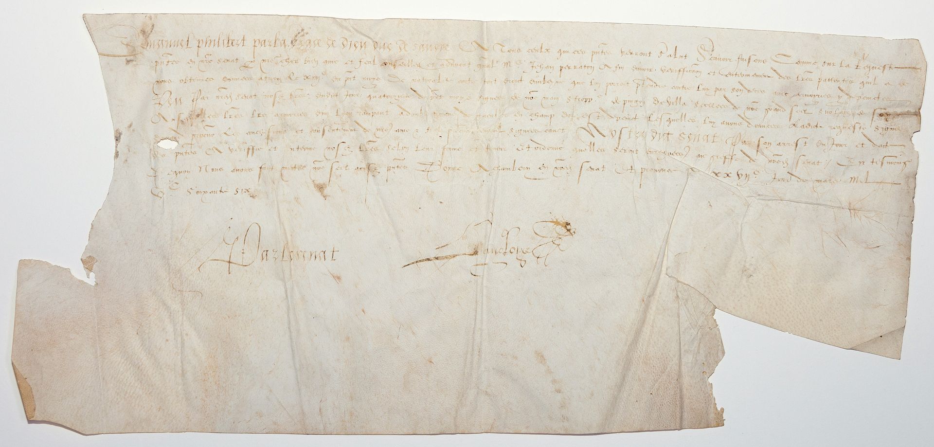 Null 萨沃伊。以萨瓦公爵埃曼努埃尔-菲利贝尔的名义，1566年3月27日在沙姆贝里签发的羊皮纸（19 x 41厘米），根据我们的参议院提出的请求......&hellip;