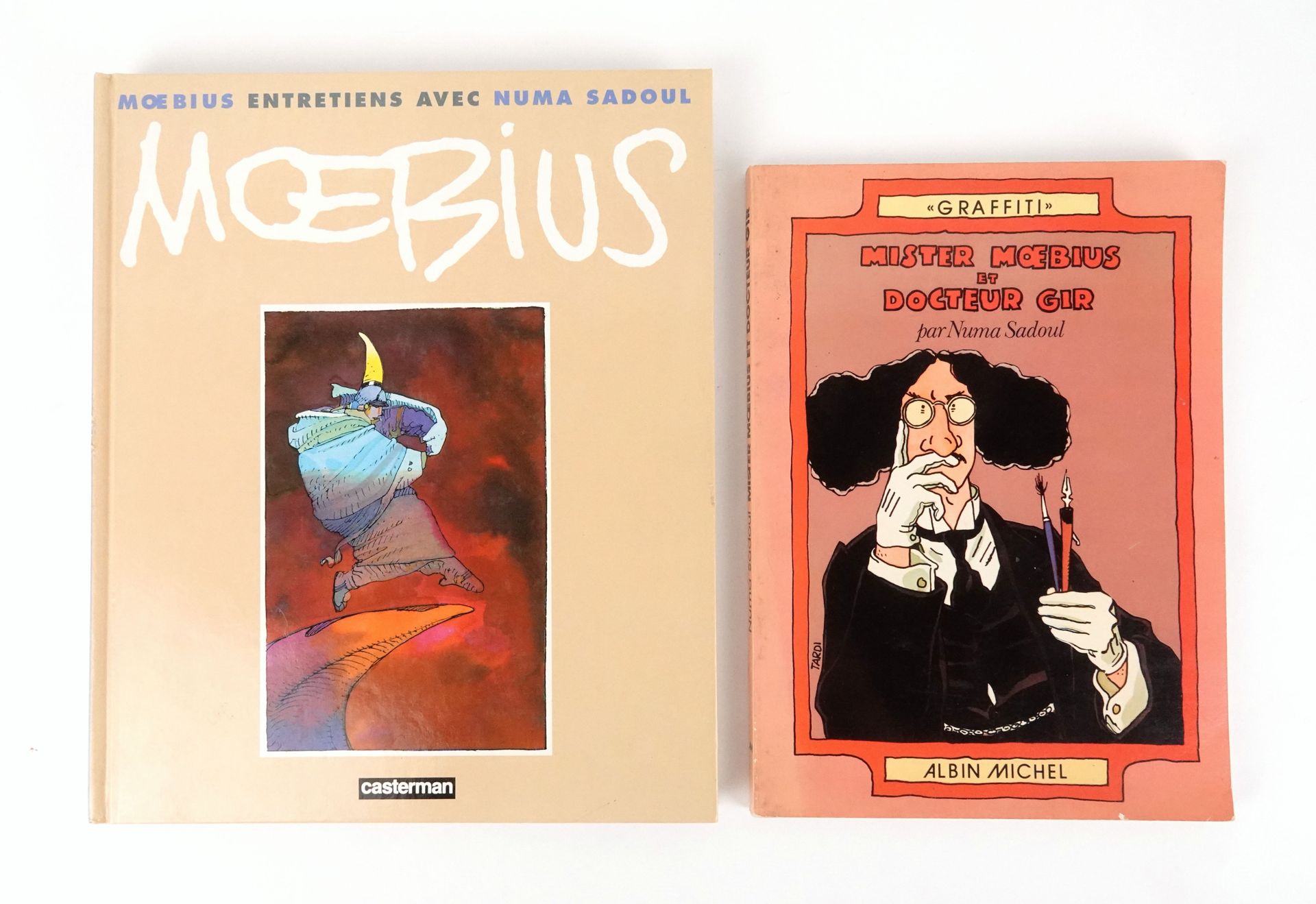 Null MOEBIUS

Conjunto de dos monografías que incluyen Mister Moebius y Doctor G&hellip;