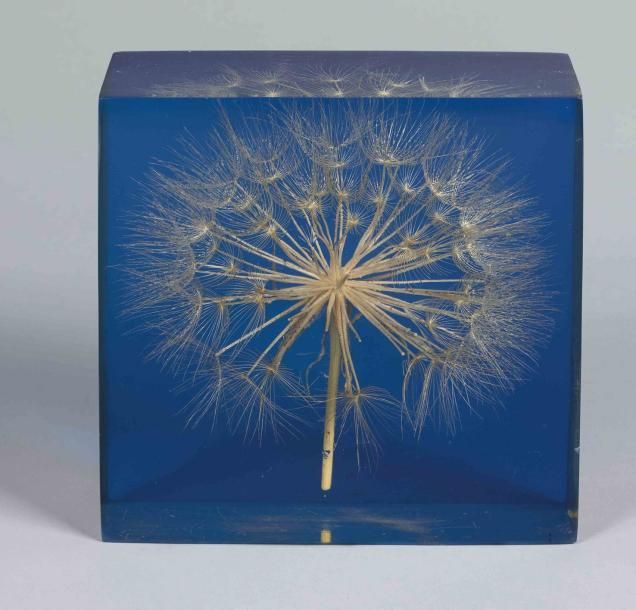 ANONYME Inclusion de fleur dans plexiglass bleu 15 x 15 x 5,5 cm