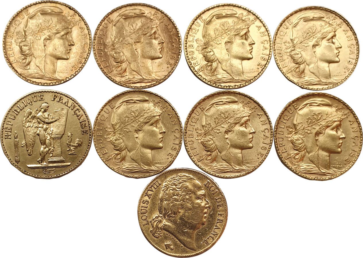 Null 9 monete da 20 franchi: Luigi XVIII 1820A (VG), Coq (7), Génie 1878A. VG a &hellip;