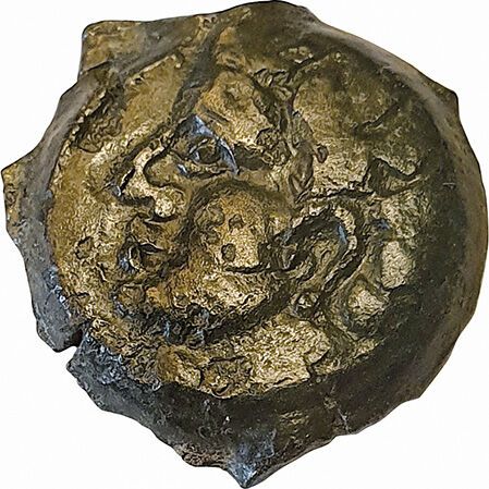 Null Carnutes.公元前1世纪青铜器，两枚玫瑰花之间有一匹马。3,73grs.D.T 2613。相当罕见。 TB+。