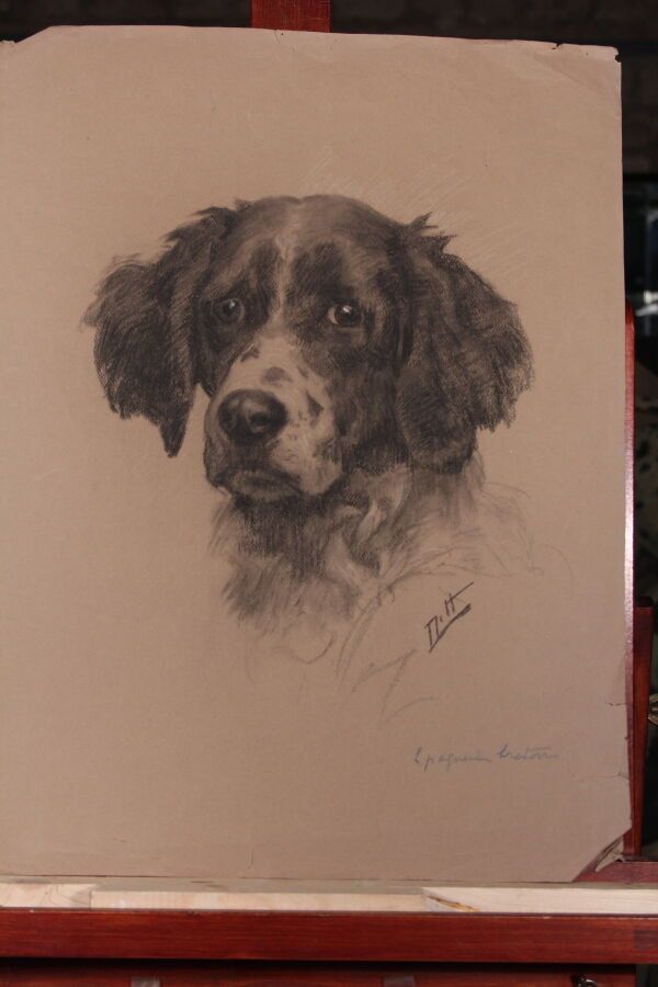 Null 奥德特-杜兰德（1885-1972），人称DETT

"布列塔尼小猎犬"。

纸上炭笔画，右下角有签名

61 x 46 厘米

(泪水)

附上 "&hellip;