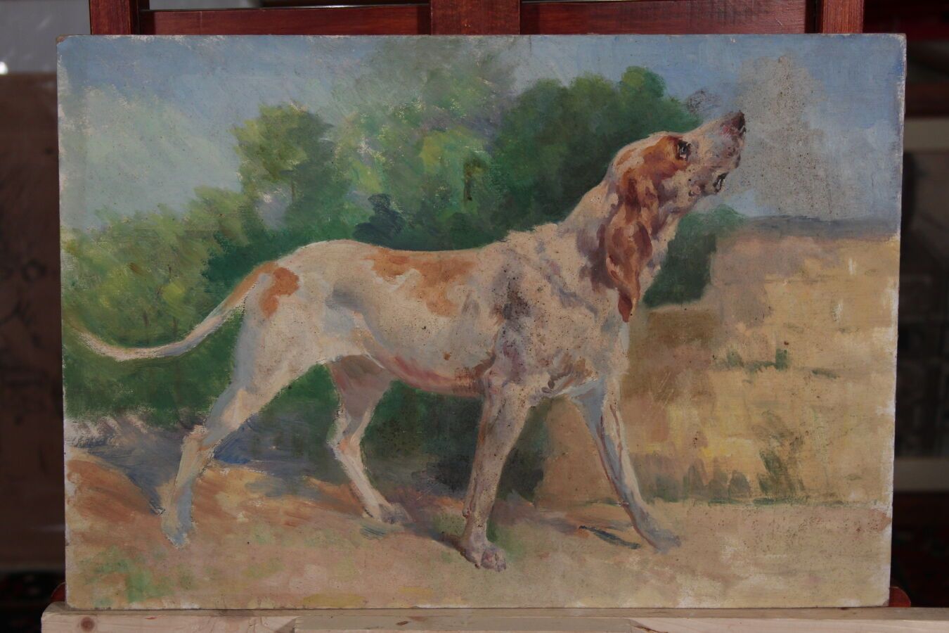 Null 奥德特-杜兰德（1885-1972），人称DETT

一套5幅画

"对一只狗的研究

尺寸介于：45.5 x 67厘米和34.5 x 27厘米之间
