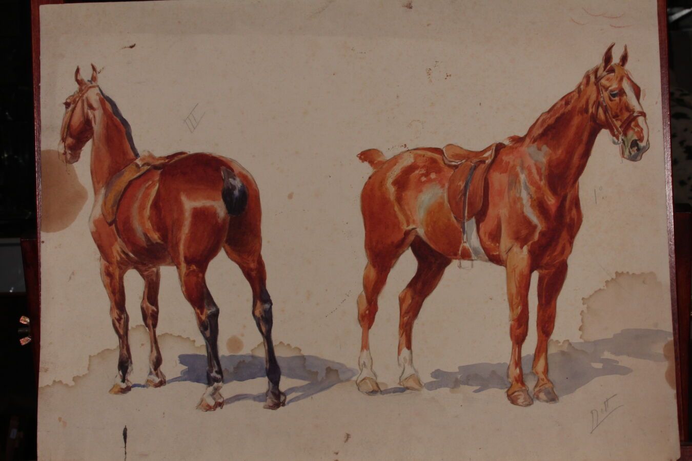 Null 奥德特-杜兰德（1885-1972），人称DETT

"一匹马的肖像"。

右下角签名的水彩画

37,5 x 48,5 cm

(湿润的痕迹)

附&hellip;