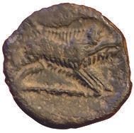 Null 图隆内斯公元前 1 世纪带野猪的青铜 AGVSSROS。2,9 克。DT.2666-2667.罕见。 TTB+