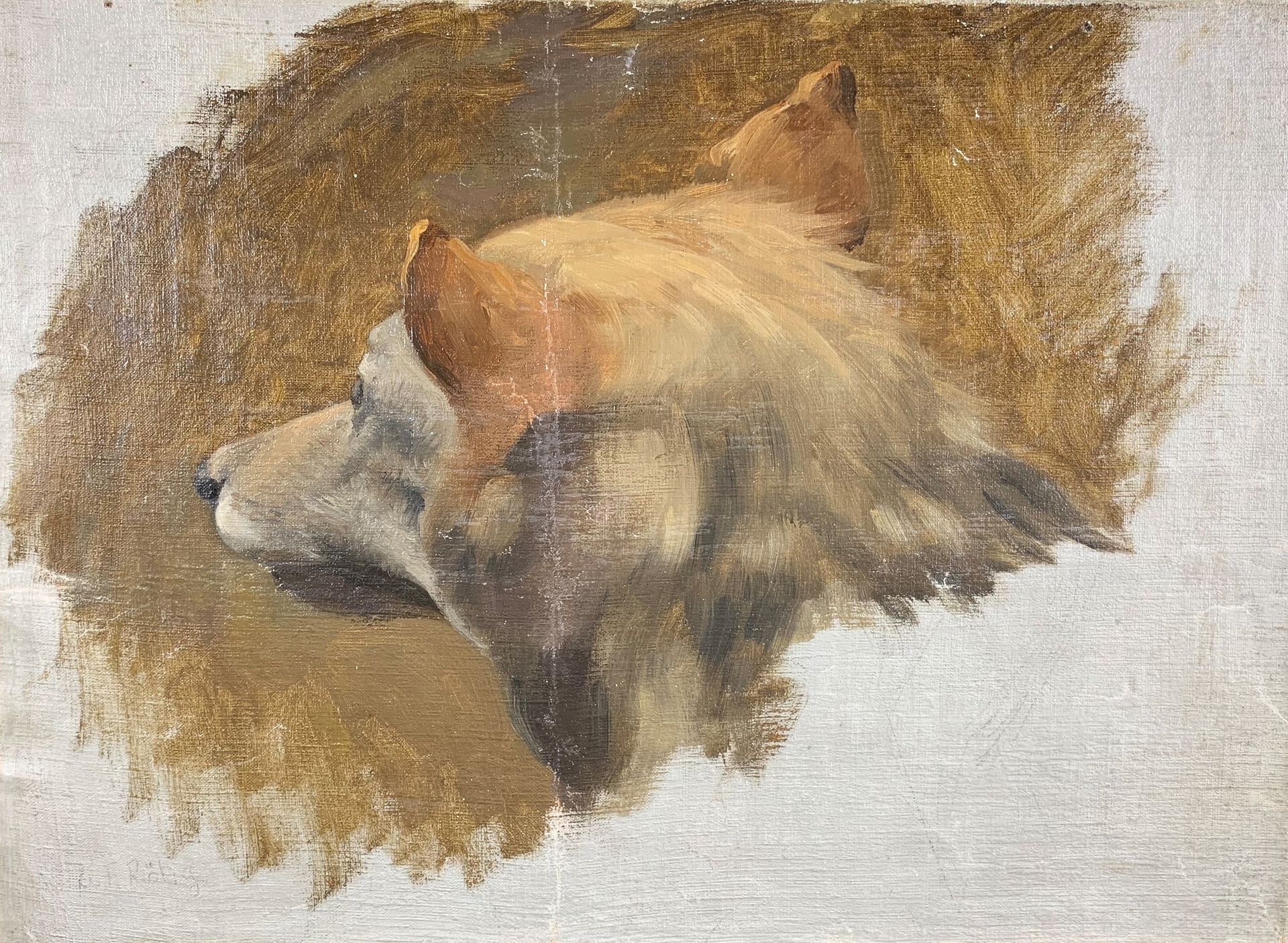 Null Georges Frédéric ROTIG (1873-1961) (attribué à)

Etude de tête de loup.

Pe&hellip;