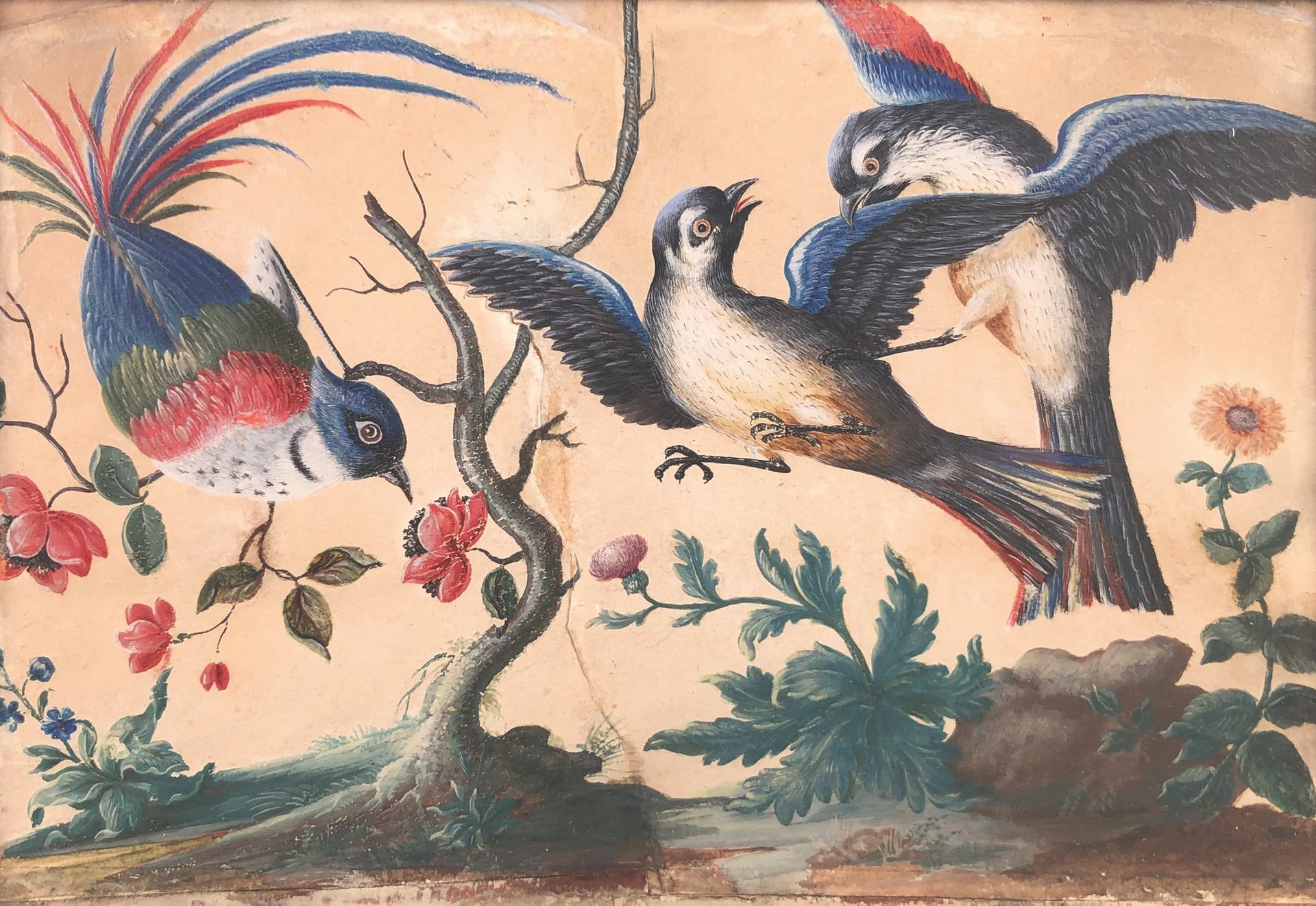 Null 18世纪的法国学校

鸟类。

水粉画（泪水）。

视图：19,5 x 29 cm
