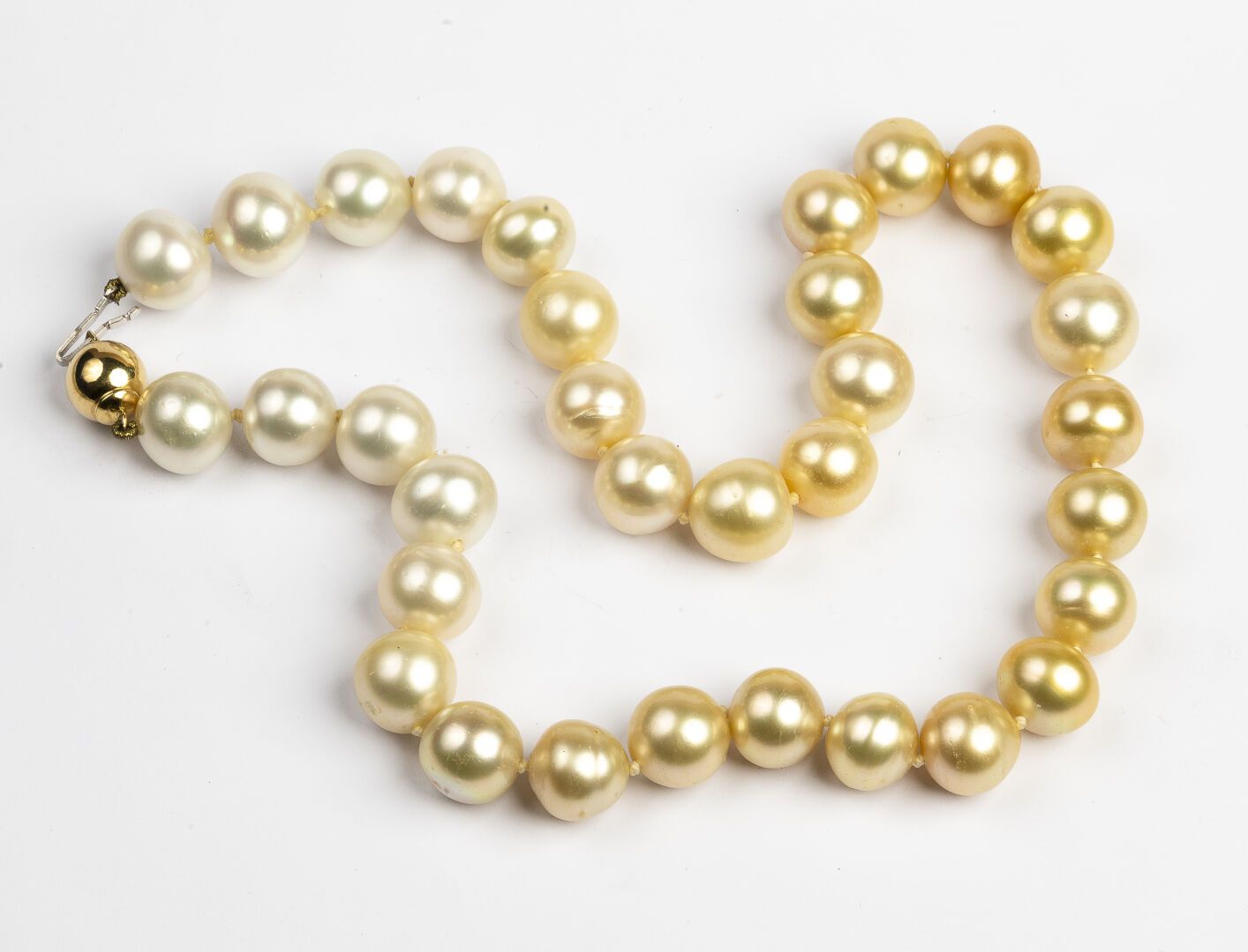 Null 南海养殖珍珠项链

直径约为12至13毫米。

 从白色到香槟色的渐变色

750°/°°的金球扣。

毛重 : 87,2 g