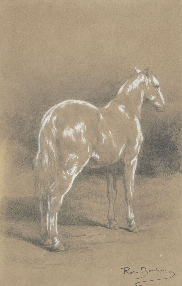 Null ROSA BONHEUR (1822-1899)

Étude de cheval vu de trois-quarts

Crayon noir e&hellip;