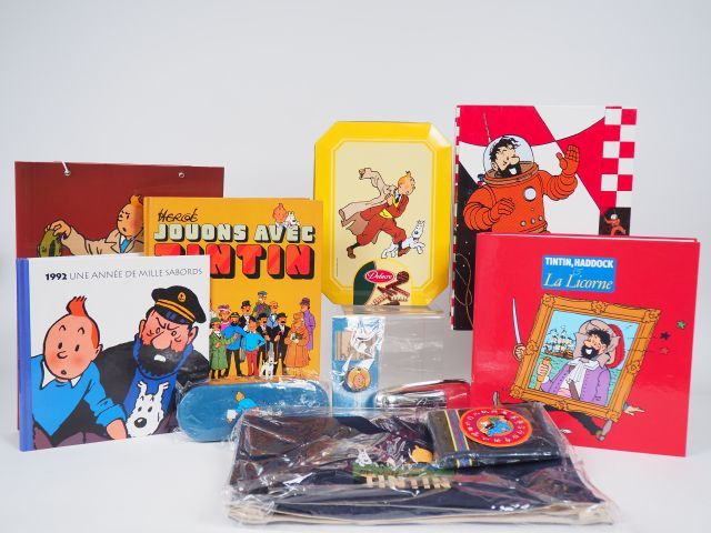 Null Superbe lot comprenant : 1 Etui et lunettes NEUF + 1 sac Tintin Neuf + 2 cl&hellip;