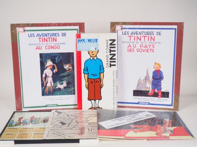 Null TOISE Tintin 1999 NEUF + Calendrier 1996 RARE + Calendrier 2000 LUNE NEUF +&hellip;