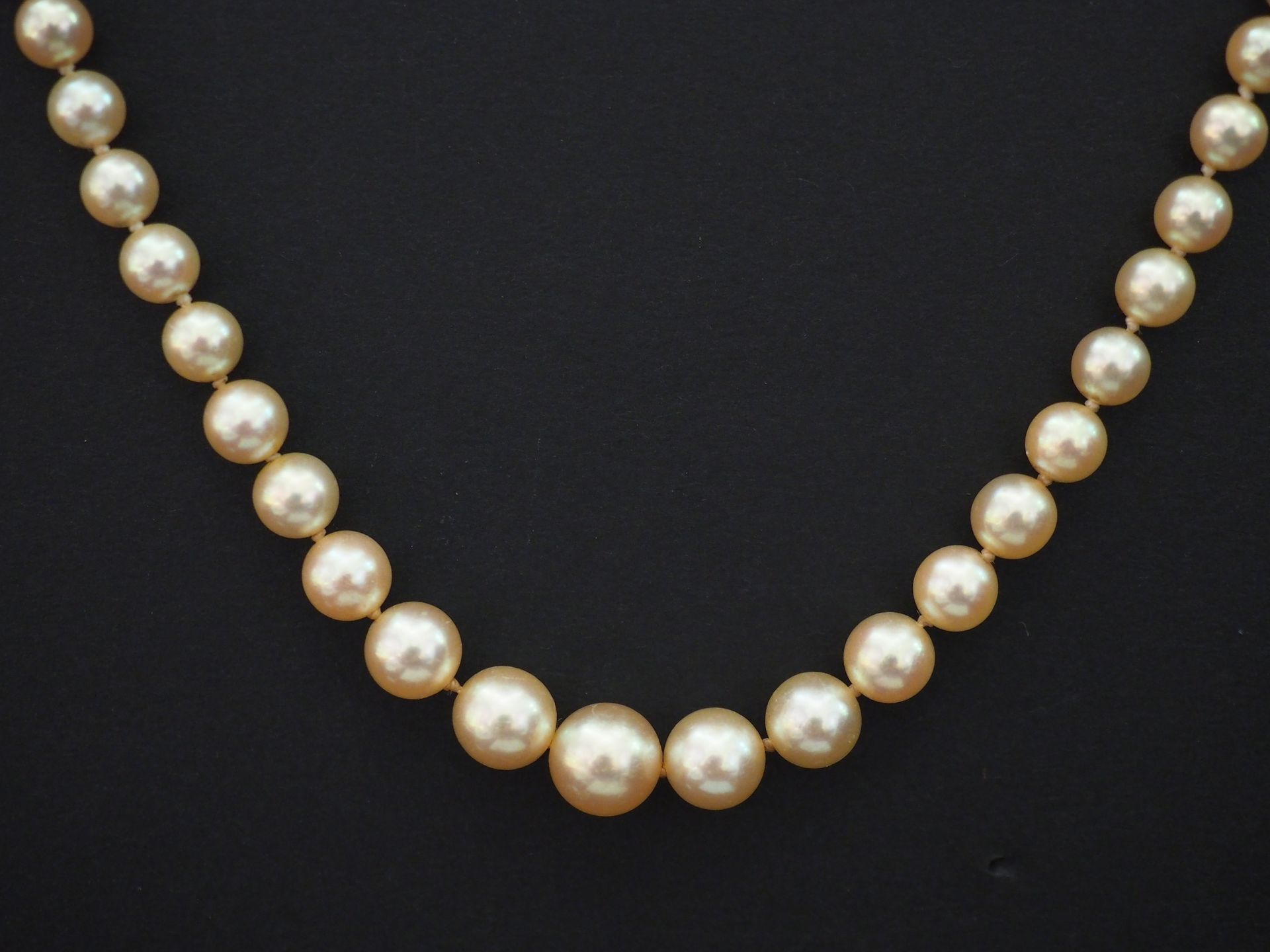 Null 珍珠项链，以水滴形式排列。黄金搭扣。安全链。

长度：49厘米

重量如常17,17 g