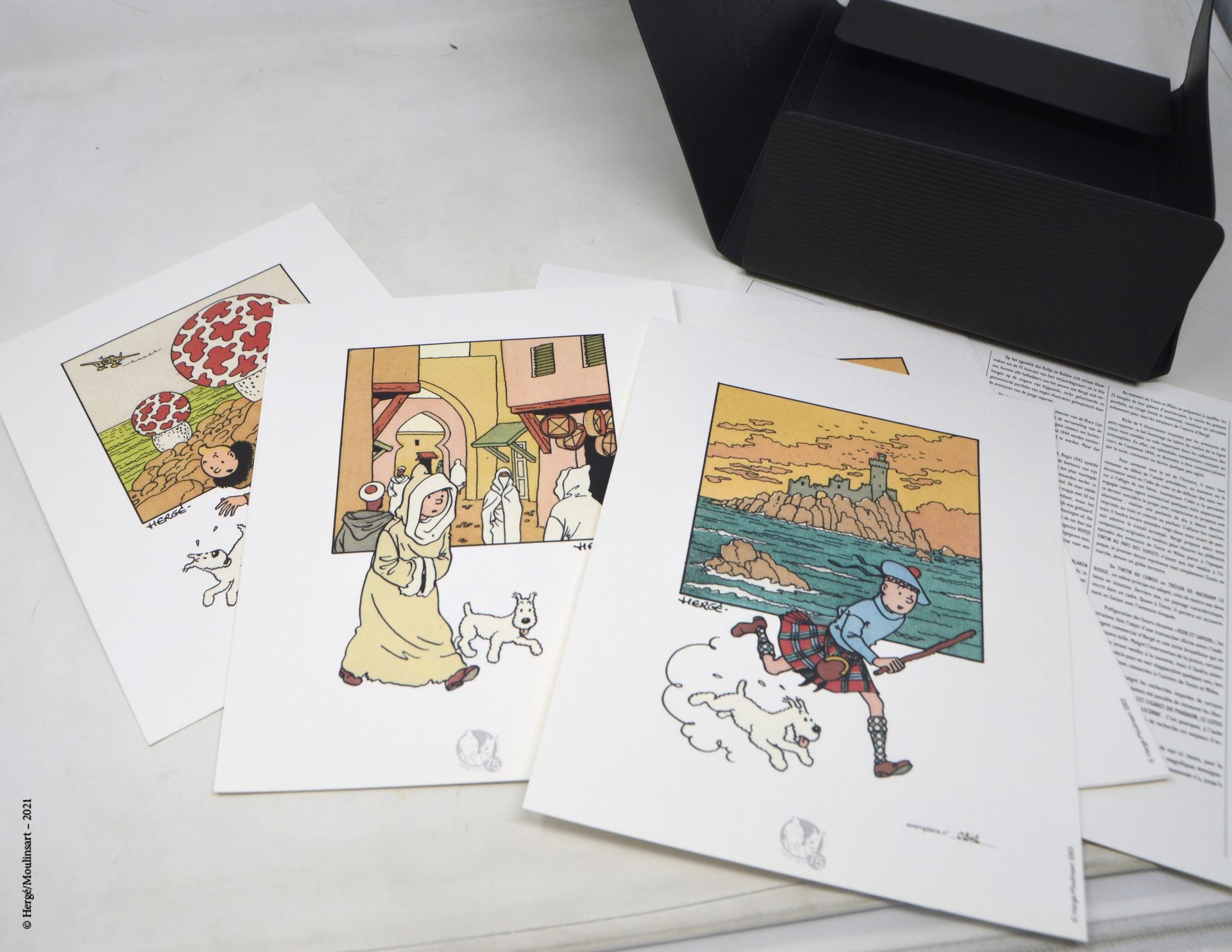 TINTIN HERGÉ/TINTIN

Portfolio Moulinsart - Tintin 75 ans. 

Neuf tirages lithog&hellip;