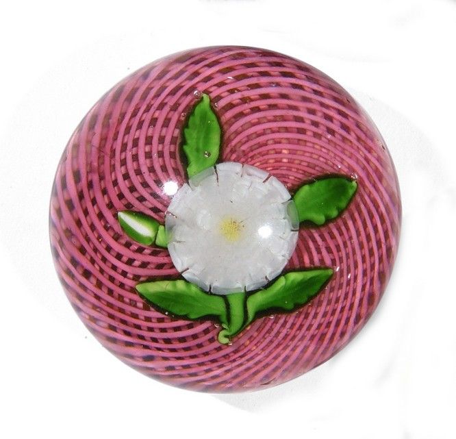 SAINT-LOUIS 
圣路易斯--白色甘菊镇纸，茎上有四片绿叶和一个花蕾，粉色拉蒂奇诺的螺旋背景。





直径: 5,3 cm