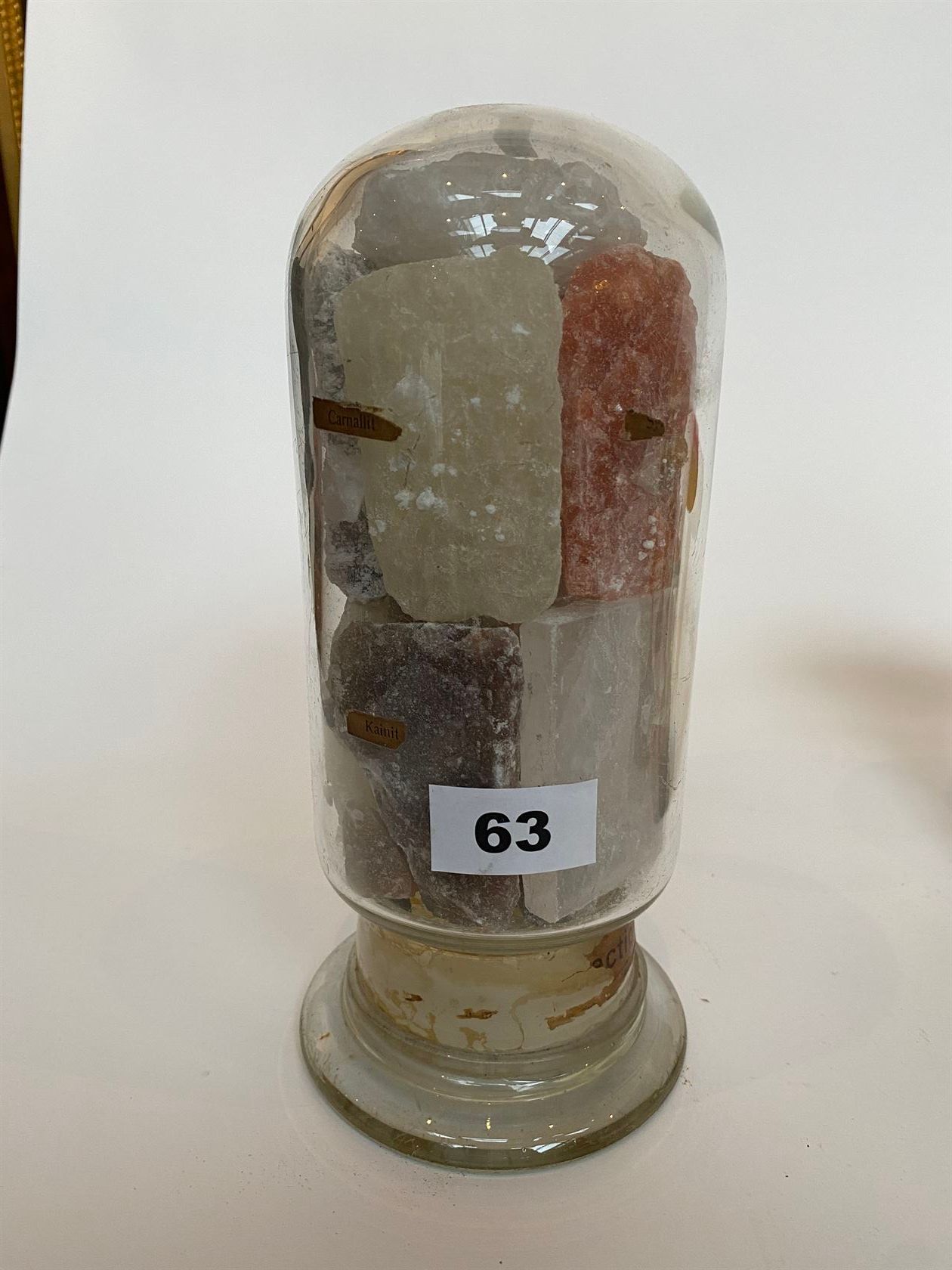 Null 贝壳形状的玻璃罐，有不同的矿物种类，包括肯尼特、光卤石。大约1900年。高24厘米。