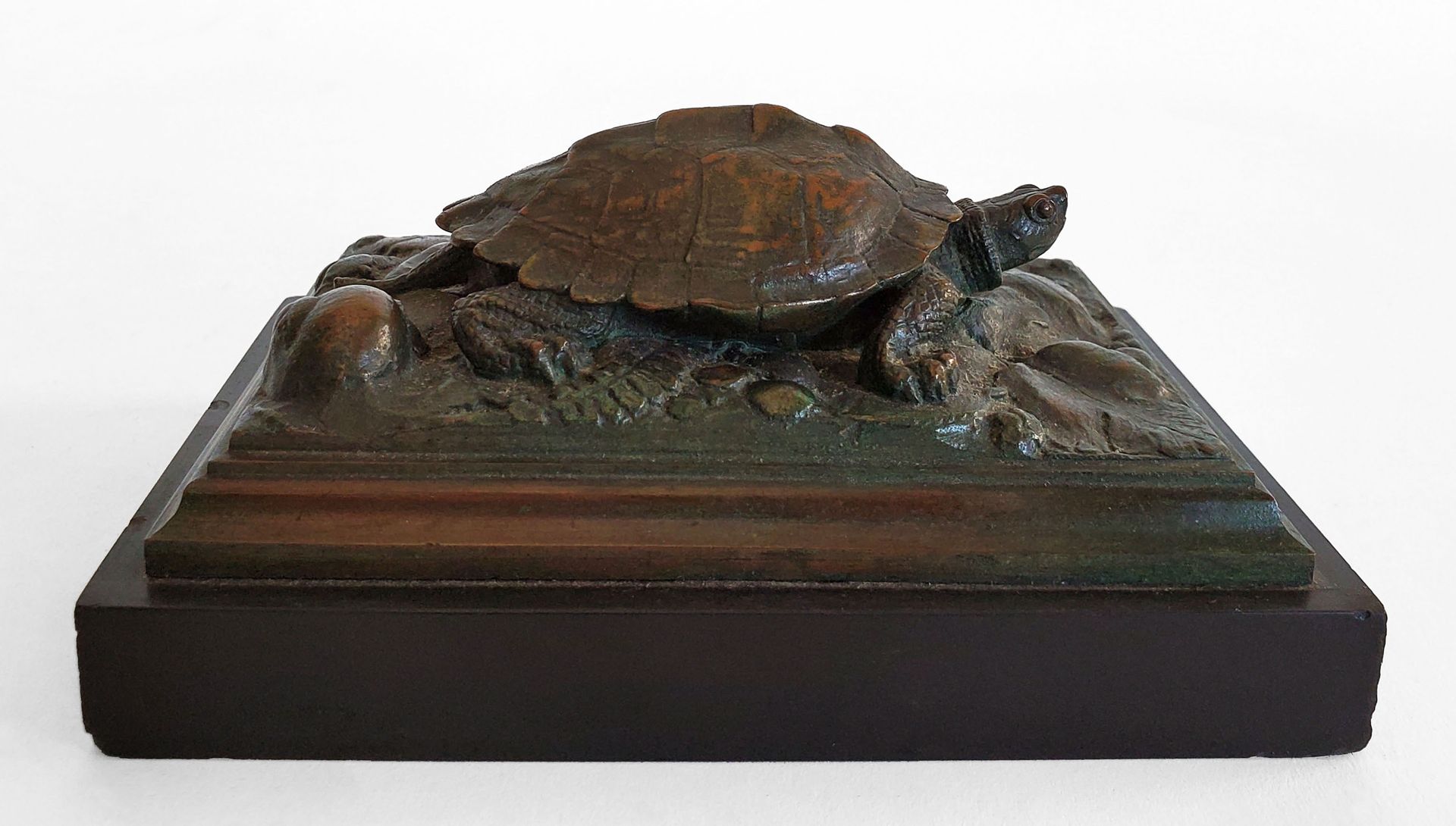 Null 安托万-路易斯-巴雷（1796-1875） 龟兹。非常好的青铜证明，带有红棕色的铜锈。旧版铸铁签名，黑色花岗岩底座。 高：4,5厘米 - 宽：13,5&hellip;