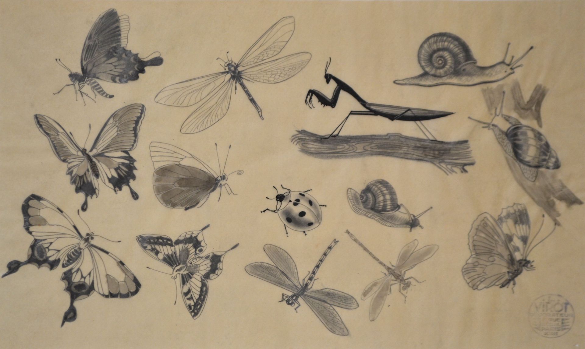 Null 吕西安-VIROT（1909-2003）。昆虫和蜗牛的盘子。描图纸上的石墨，右下方有艺术家的印章。21 x 34 cm 附：两只鸟。描图纸上的石墨，左&hellip;