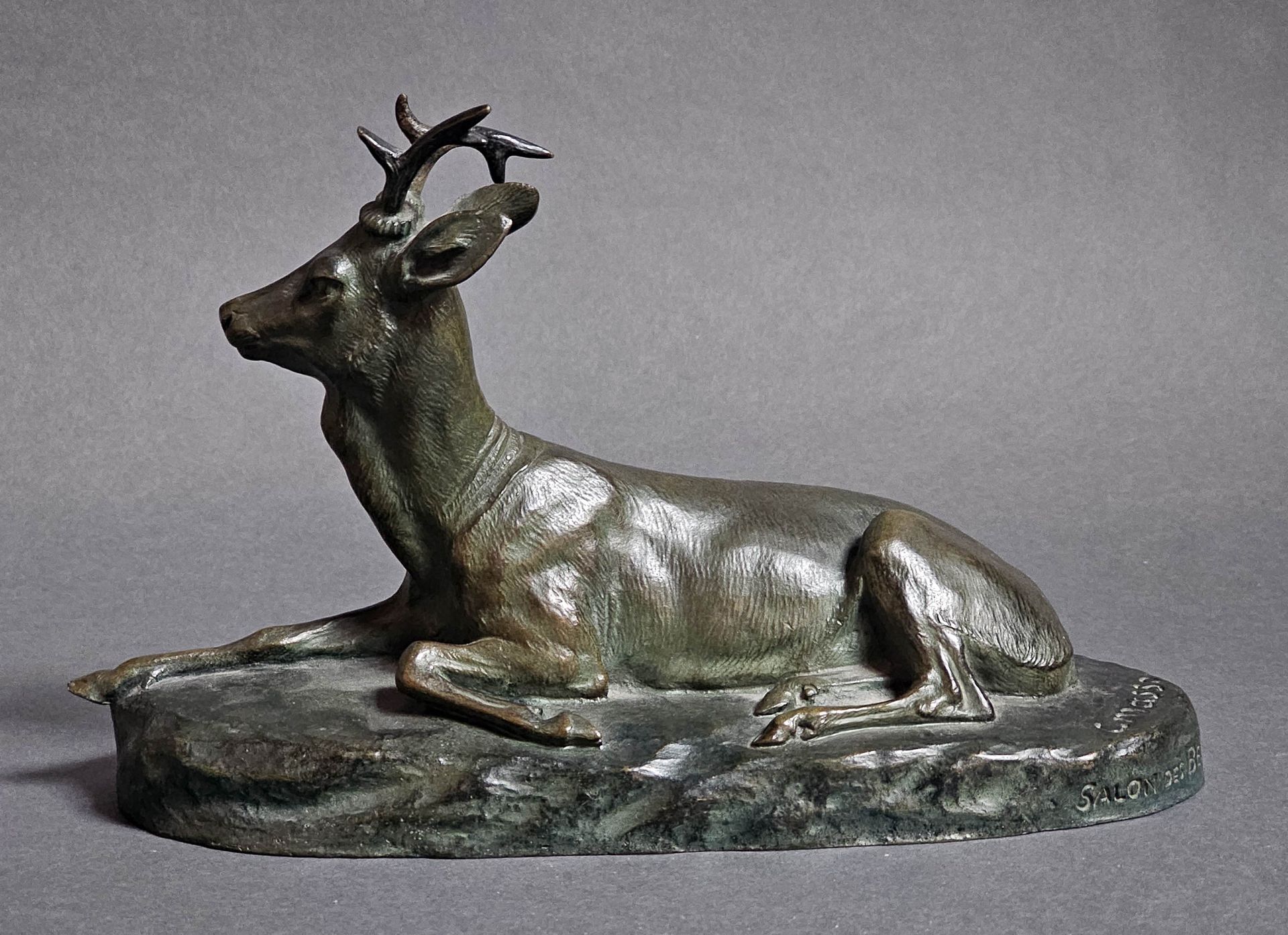 Null Clovis MASSON (1838-1913) Daguet couché. Epreuve en bronze à patine brun cl&hellip;