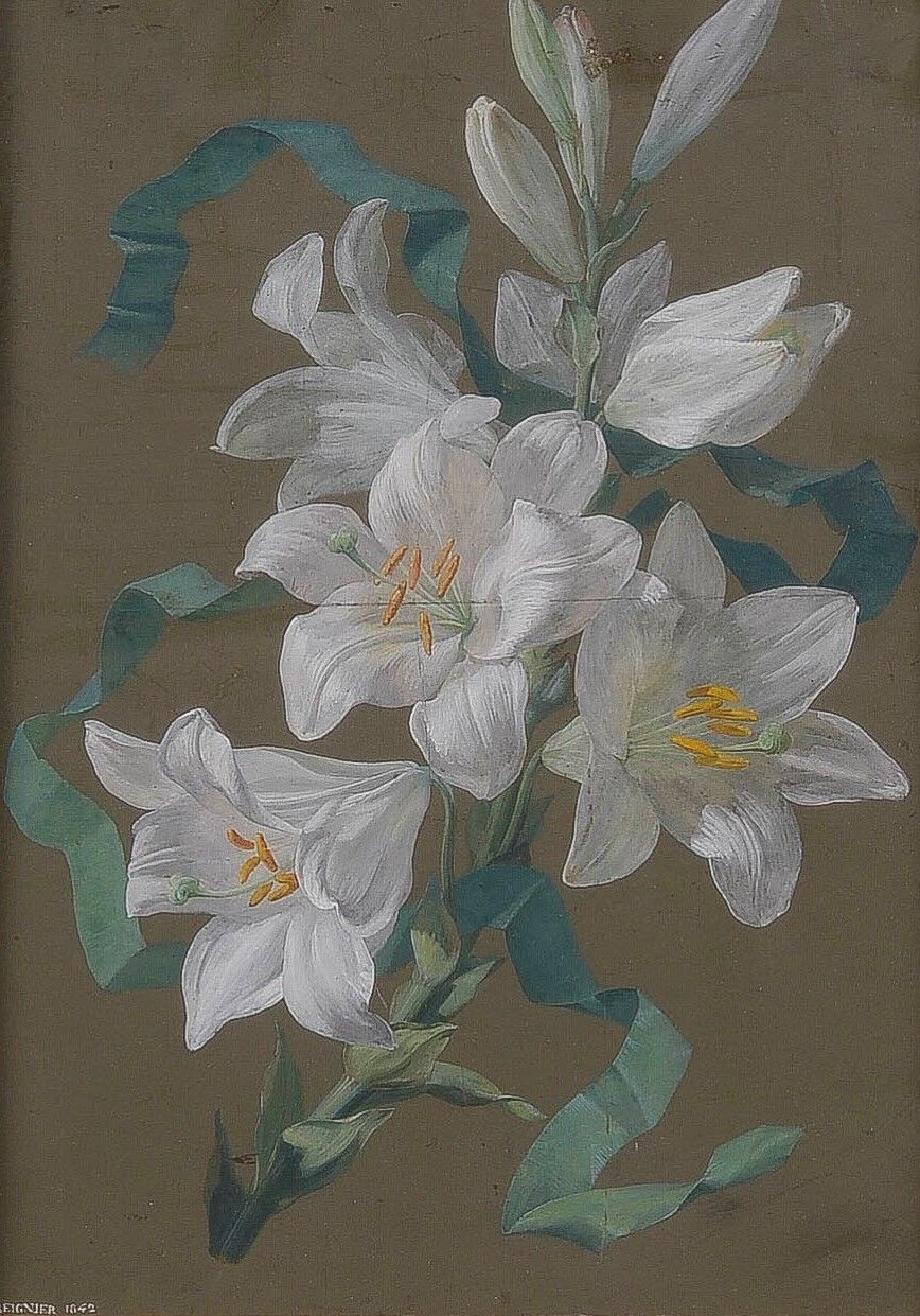 Null Jean Marie REIGNIER (1815-1886)

White Lily, 1842

Gouache on paper, signed&hellip;