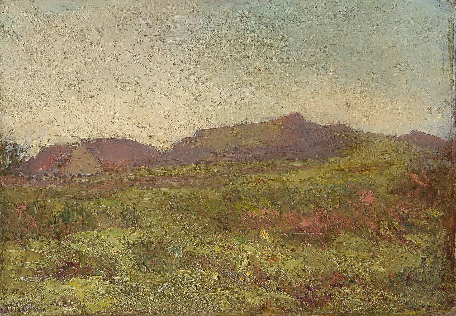 Null 约瑟夫-特鲁瓦(Joseph TRÉVOUX) (1831-1909)

蒙特布里森附近农村的农场

板面油画，左下方有签名，位于背面

32 x 4&hellip;