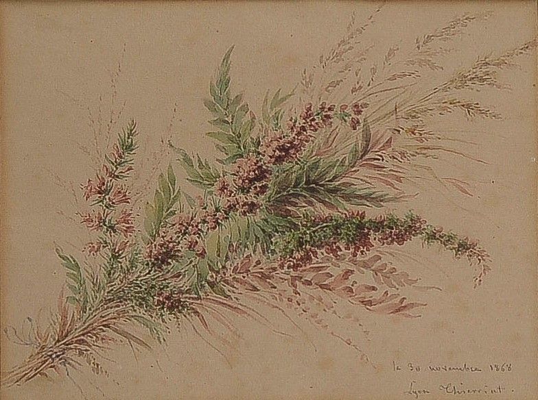 Null 奥古斯丁-蒂尔里亚特(1789-1870)

石楠树的树枝，1868年

水彩画，右下角有签名、日期并位于里昂

19 x 25厘米